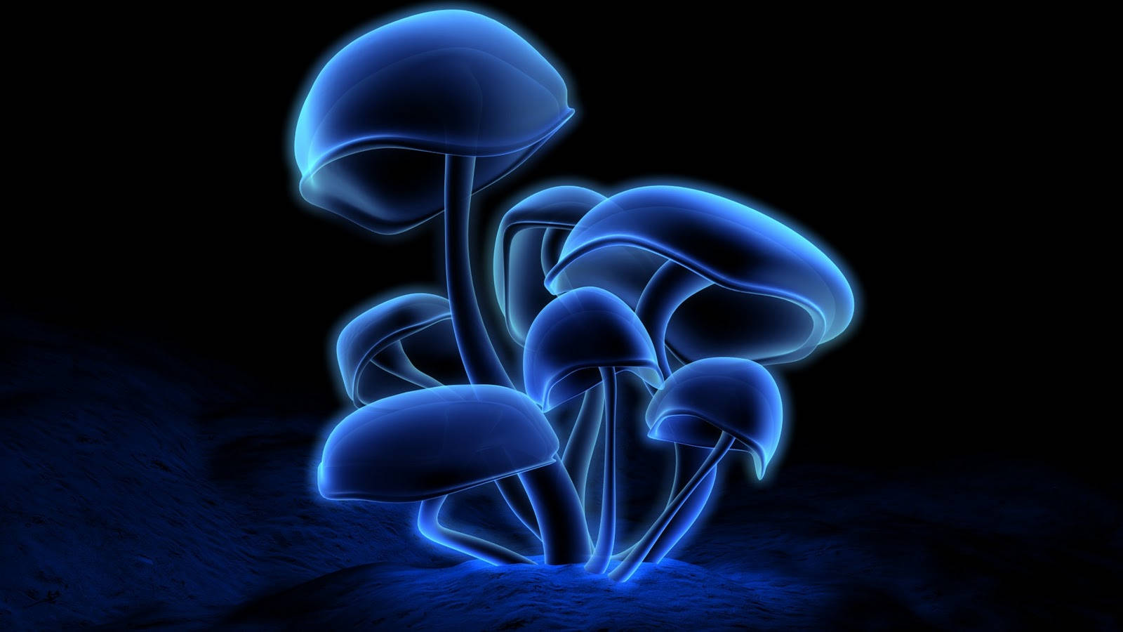 Psychedelic Mushroom 桌布 壁紙 — 發光的藍色蘑菇，帶有半透明的菌蓋和菌柄，在黑暗的紋理地面上發出柔和的光芒。