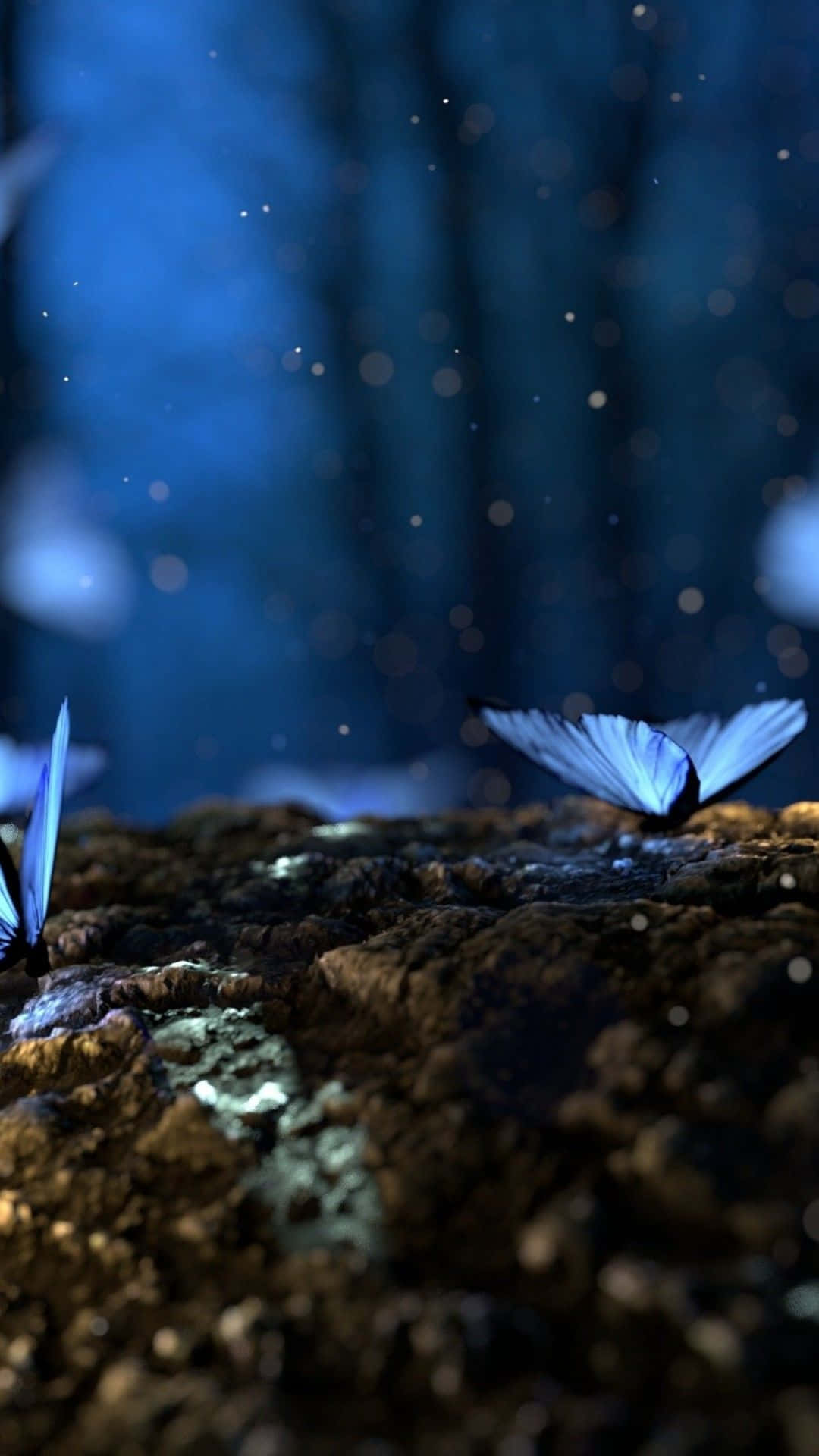 Butterfly Photography 桌布 壁紙 — 發光的藍色蝴蝶在霧氣瀰漫的暮色森林中，停歇在長滿苔蘚的木頭上，周圍有柔和的散景燈光。