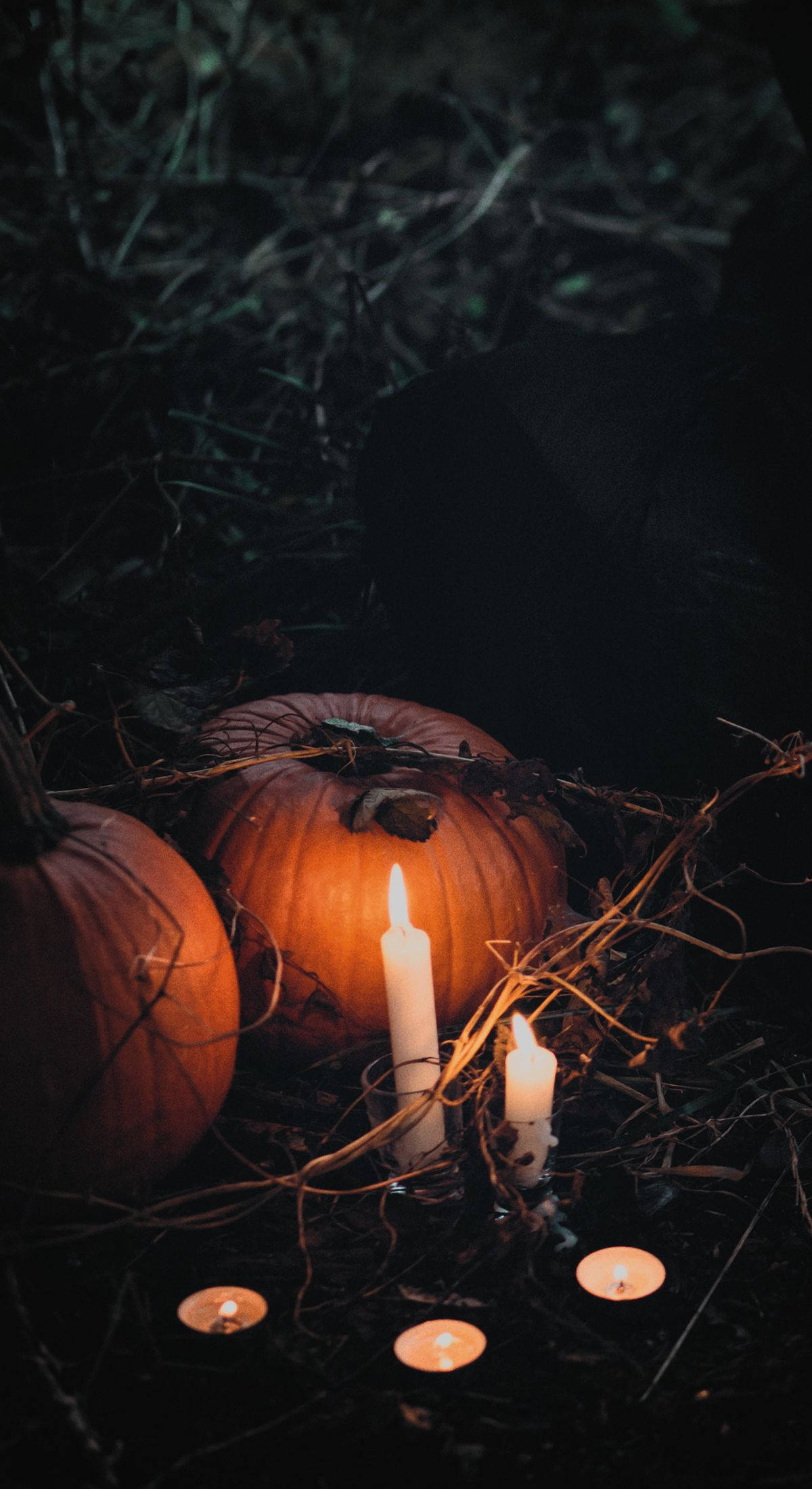 Halloween iPhone 桌布 壁紙 — 發光的蠟燭照亮了暗黑草地上、陰影夜空下的南瓜。