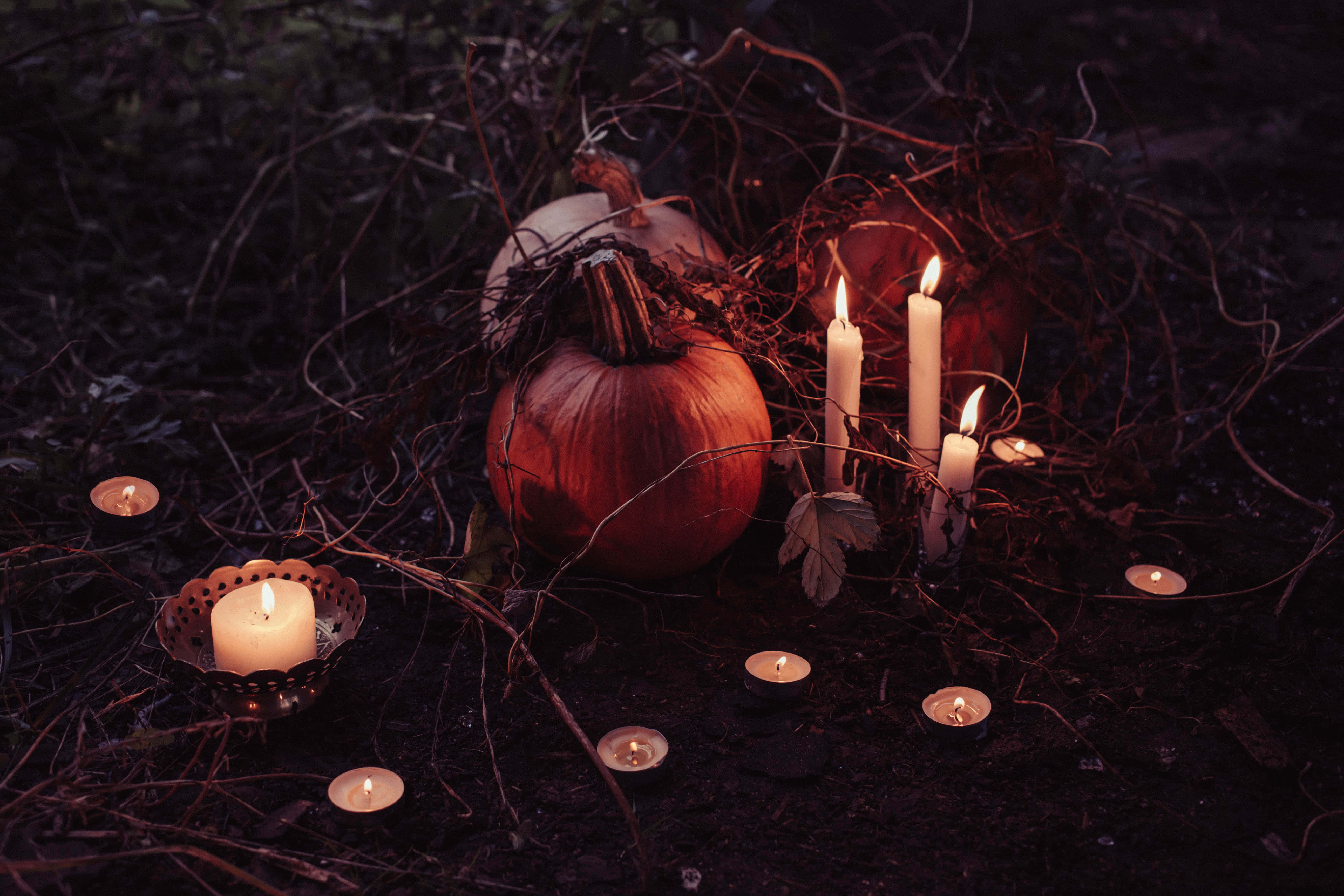 Halloween Props 桌布 壁紙 — 發光的蠟燭照亮了黑暗森林地面上的南瓜和樹枝，營造出神秘的秋日場景。