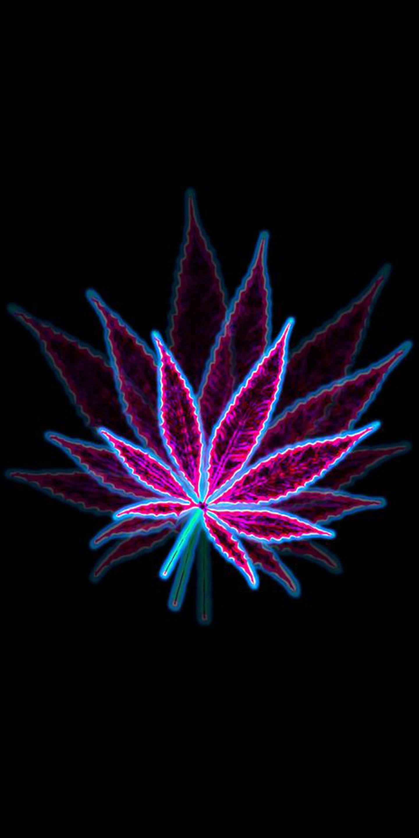 霓虹美學 桌布 壁紙 — 發光的霓虹大麻葉，帶有洋紅色和青色輪廓，在純黑色背景上脈動。