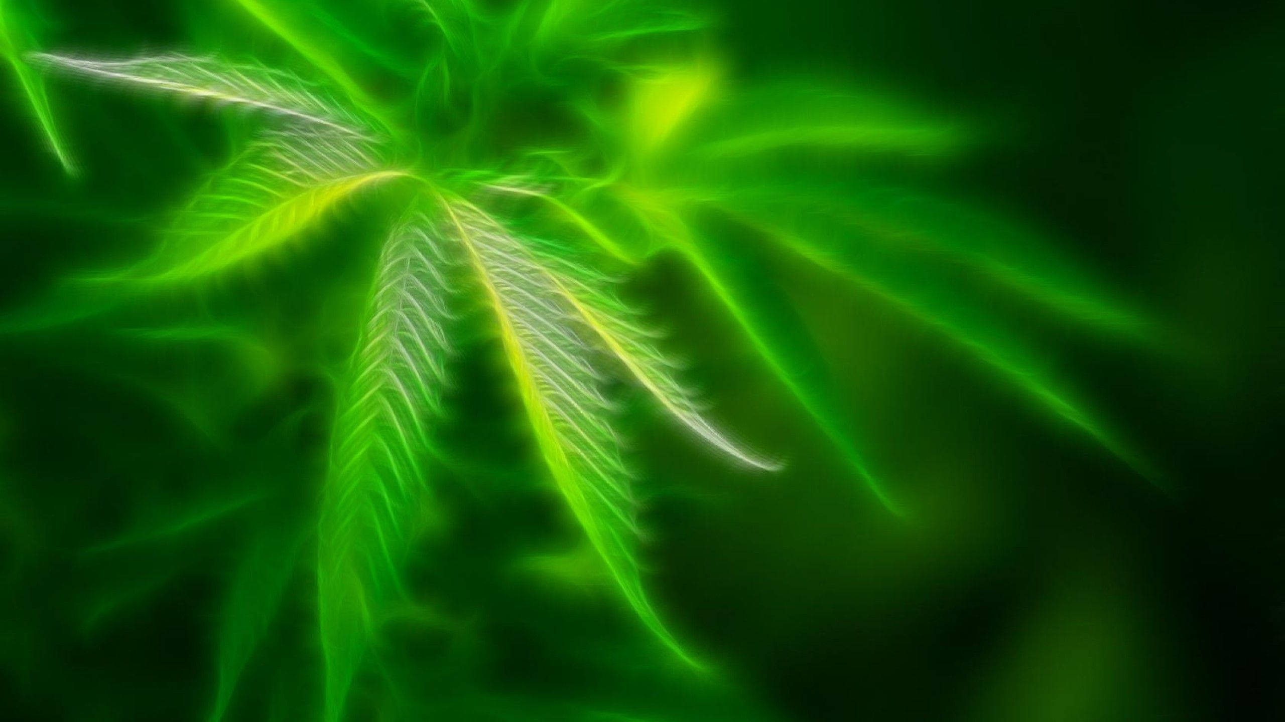 大麻 桌布 壁紙 — 發光的霓虹綠色大麻葉在深色漸變背景上散發出電光般的葉脈。