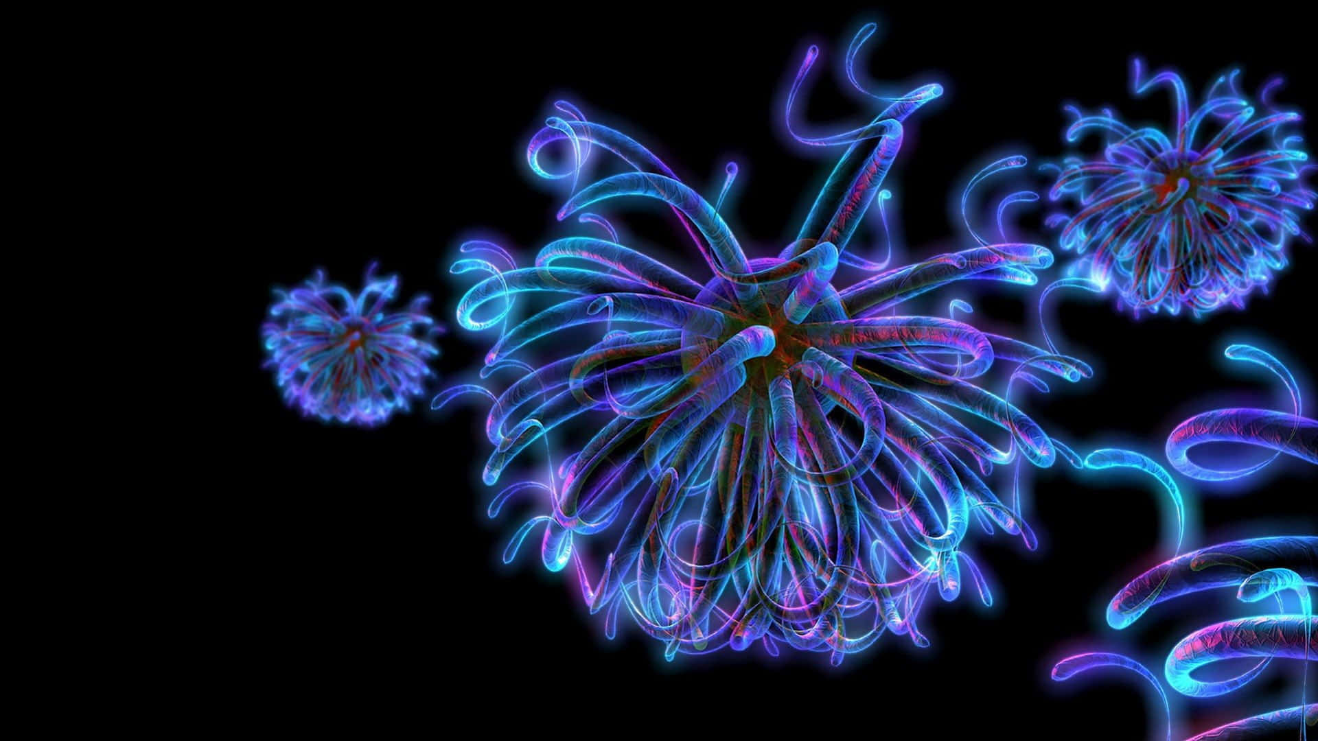 Fluorescent 桌布 壁紙 — 發光的霓虹藍色和紫色分形狀生物在黑色虛空中漂浮，帶有複雜的旋轉卷鬚。