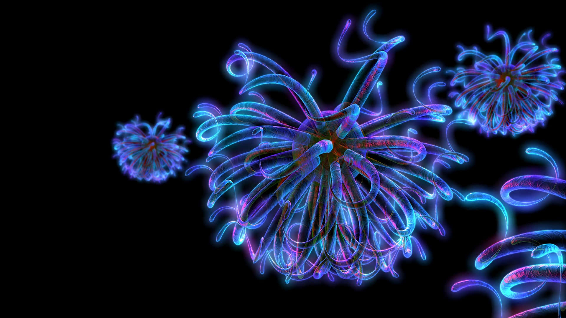 Psychedelic Flowers 桌布 壁紙 — 發光的霓虹藍色和紫色分形狀結構在黑色虛空中漂浮，帶有複雜的漩渦圖案。