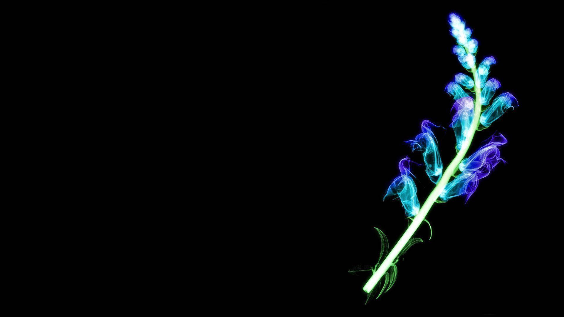 Cool Neon 桌布 壁紙 — 發光的霓虹藍色和綠色花莖，帶有電光花瓣，在純黑色背景上脫穎而出。