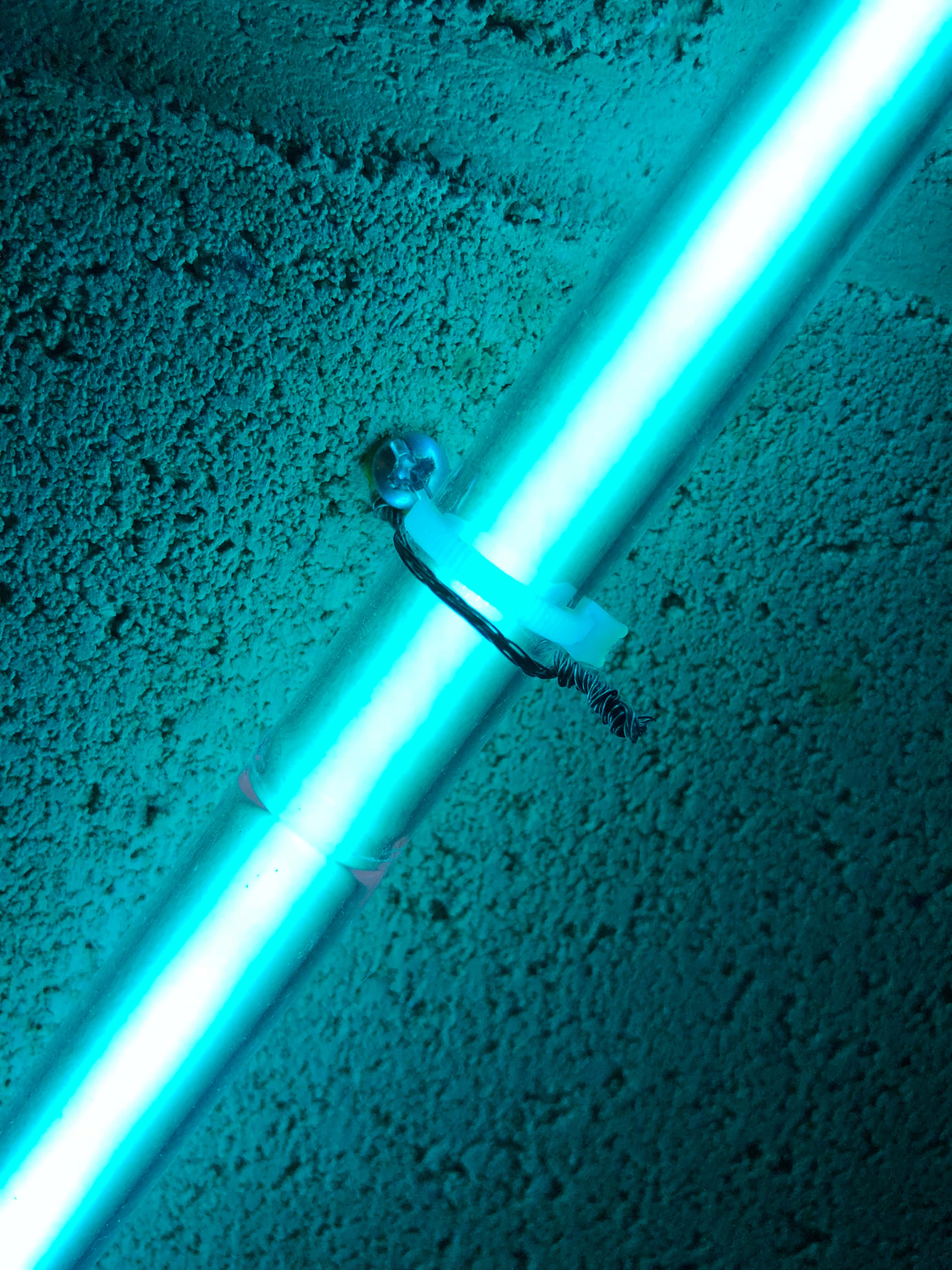 Turquoise Green 桌布 壁紙 — 發光的青綠色螢光燈管在粗糙紋理的天花板上投射出電光藍色的光芒。