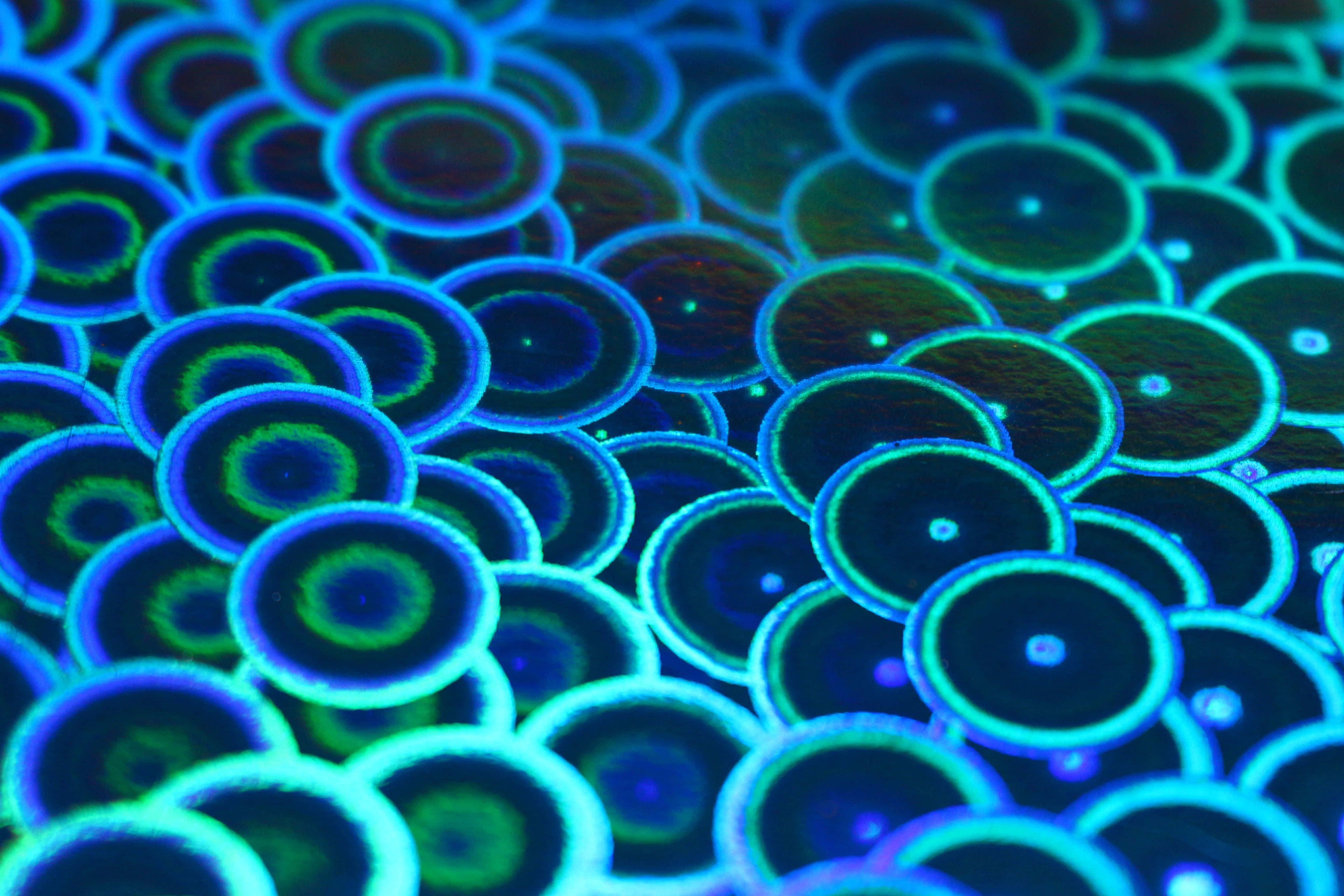 Hologram 桌布 壁紙 — 發光藍綠色圓形圖案的近距離特寫，帶有虹彩高光和深色中心。