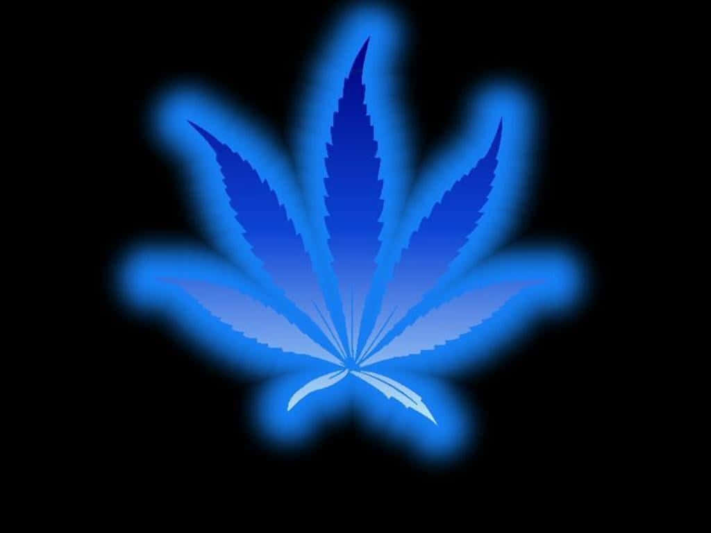 Weed Leaf 桌布 壁紙 — 發光藍色大麻葉在純黑背景上柔和地散發光芒，帶有漸變效果。