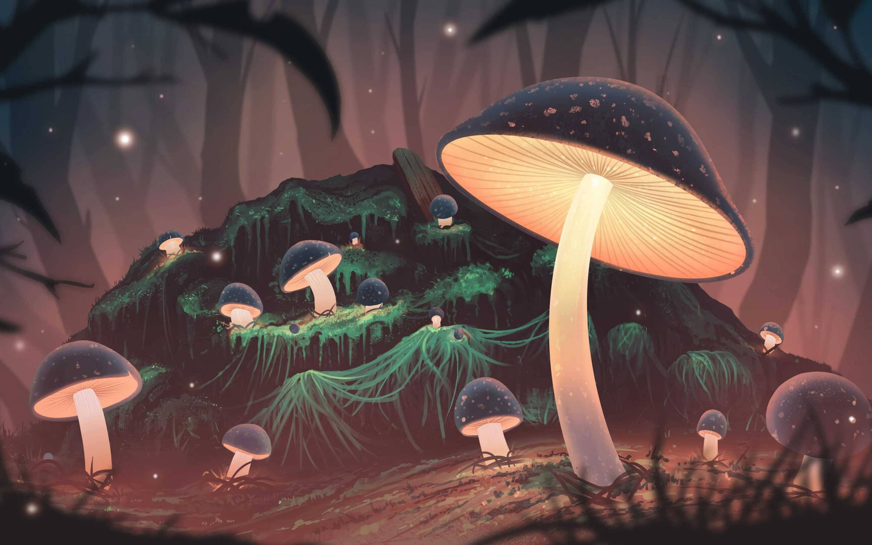 Mushroom Aesthetic 桌布 壁紙 — 發光蘑菇在暮色樹冠下照亮神秘的森林地面，伴隨著漂浮的光芒。