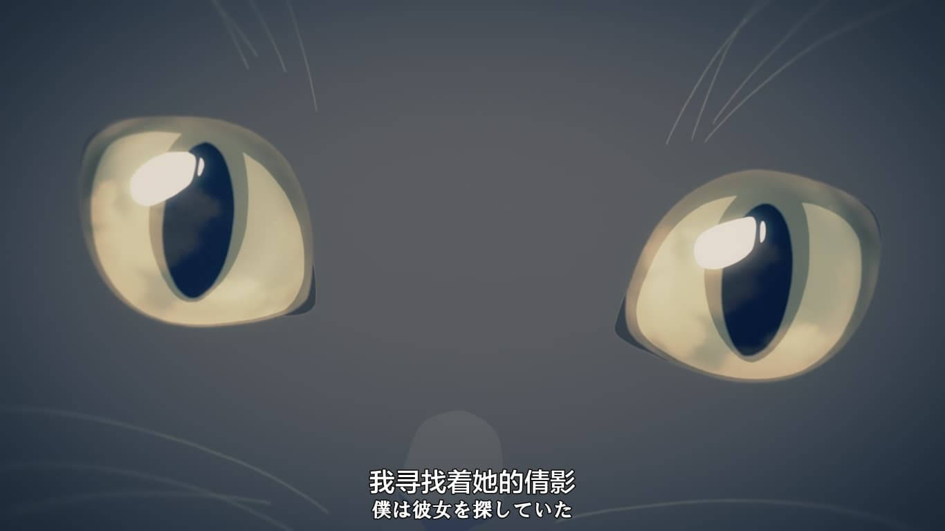 Makoto Shinkai 桌布 壁紙 — 發光貓眼的特寫，帶有微妙的鬍鬚，背景為柔和的灰色。