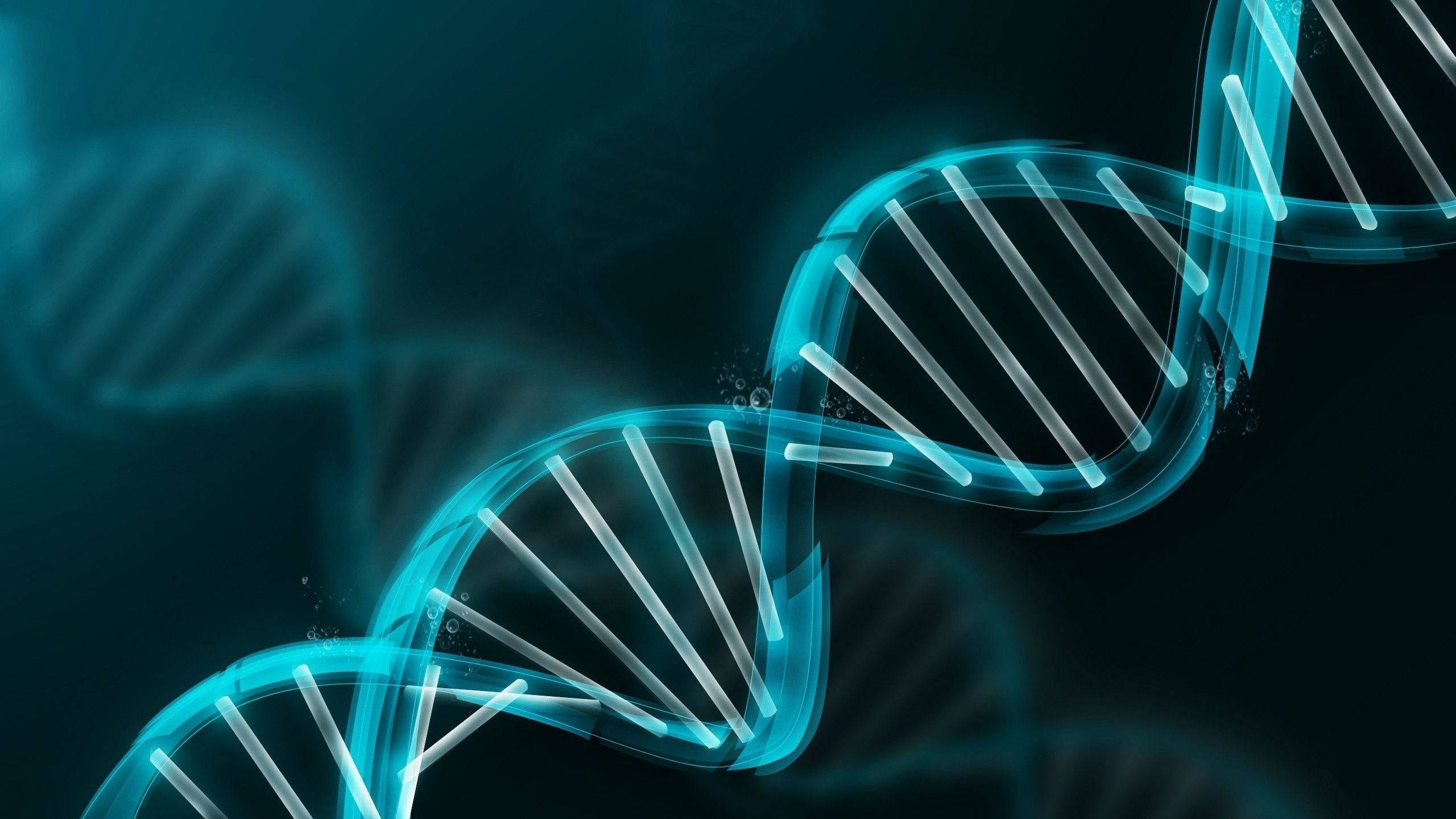 科學 桌布 壁紙 — 發光青色DNA雙螺旋在深青色背景上盤旋，帶有柔和散景效果。