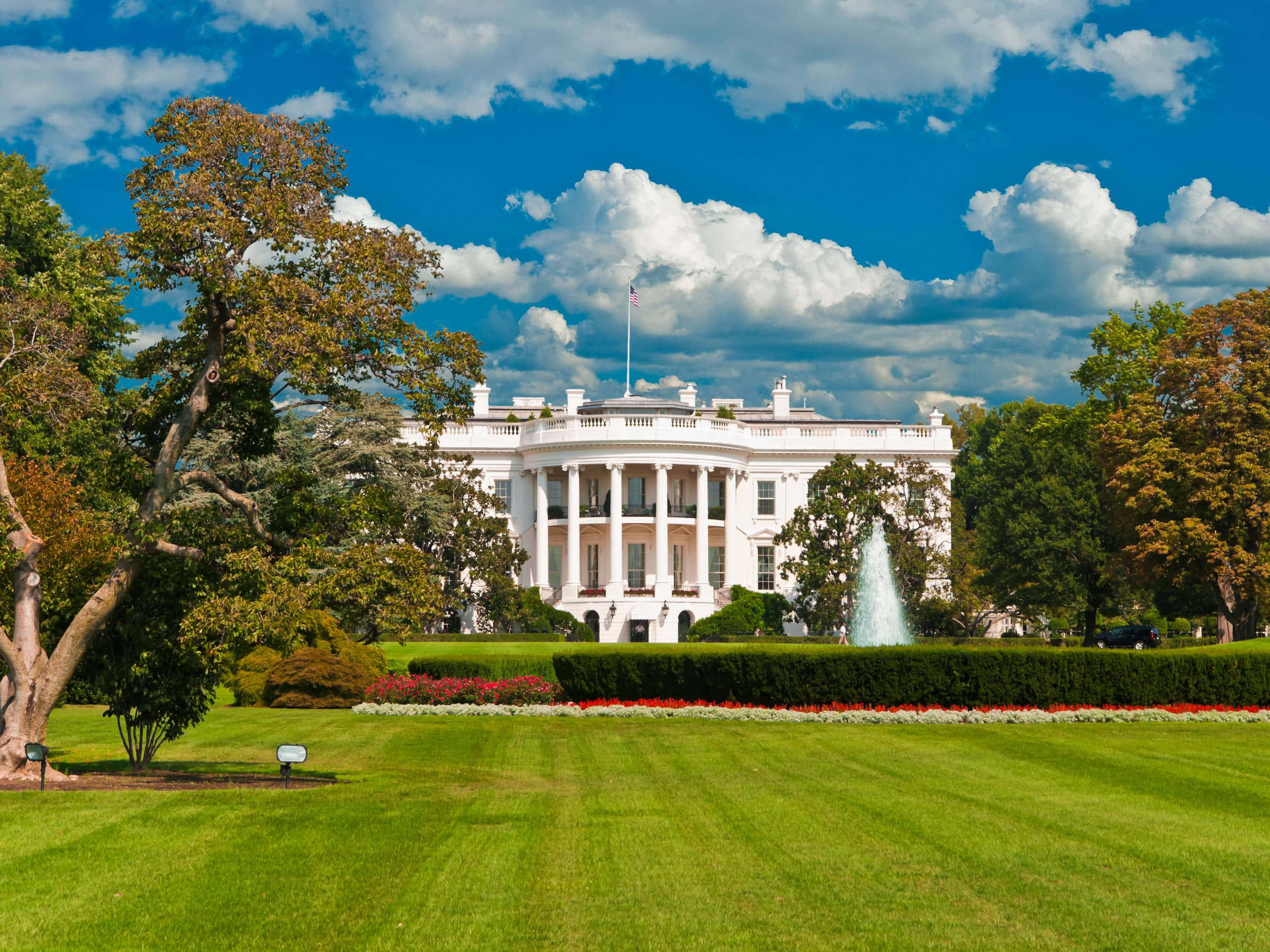 white house 桌布 壁紙 — 白宮在充滿活力的藍天和白雲下巍然聳立，四周環繞著翠綠的草坪和秋色樹木。