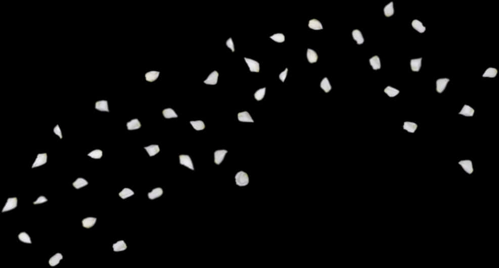 Rose Petals Falling 桌布 壁紙 — 白米粒在純黑色背景上以慢動作漂浮。