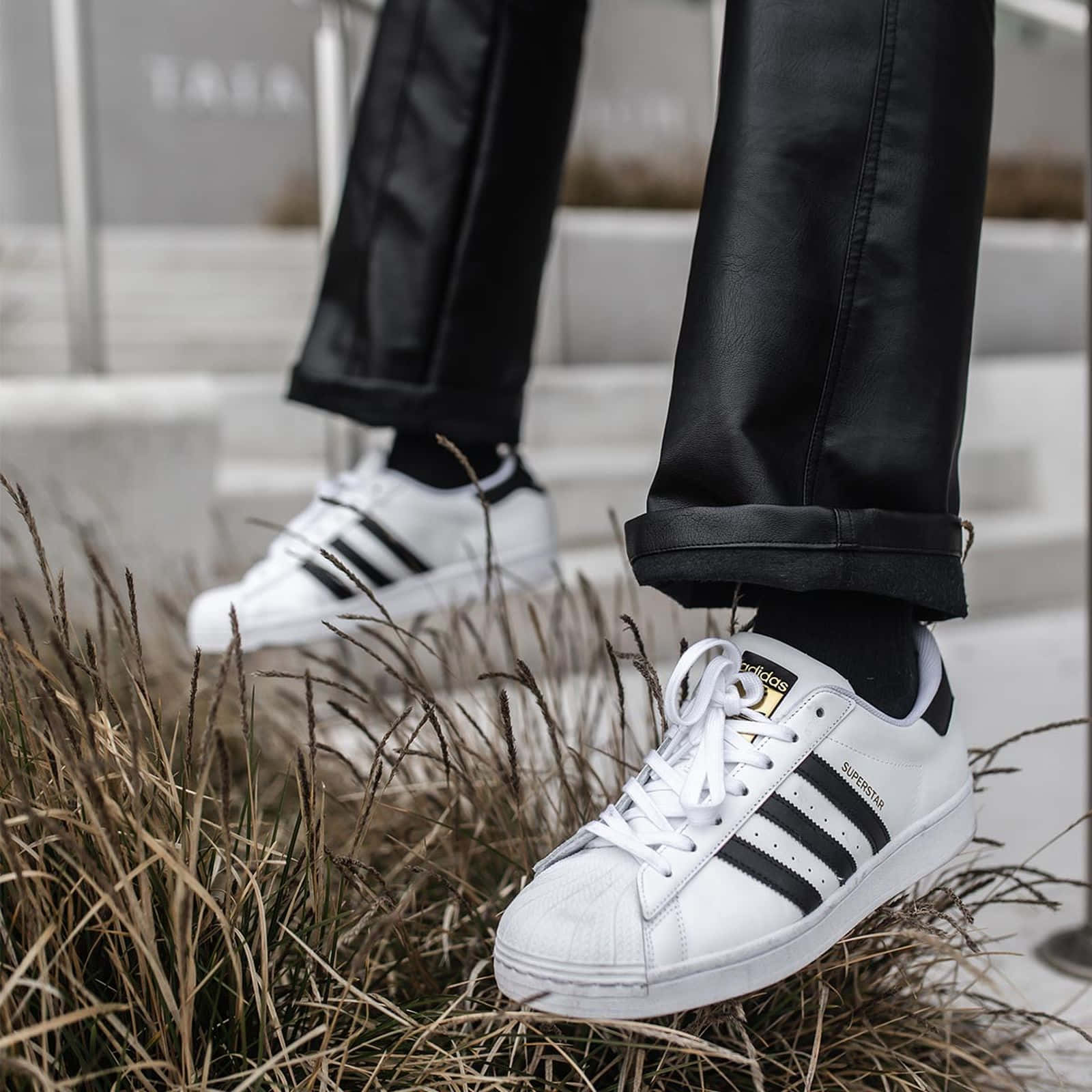 愛迪達 桌布 壁紙 — 白色 adidas superstars 配黑色條紋的特寫，搭配摺腳黑色長褲，踏在混凝土階梯附近的乾草上。