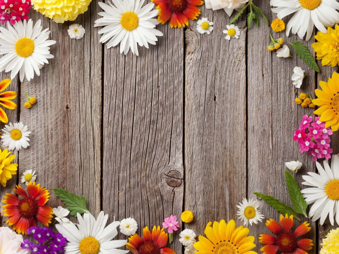 花 桌布 壁紙 — 白色、黃色、橙色和粉紅色的鮮豔野花環繞著一個帶有自然紋理的質樸風化木質表面。