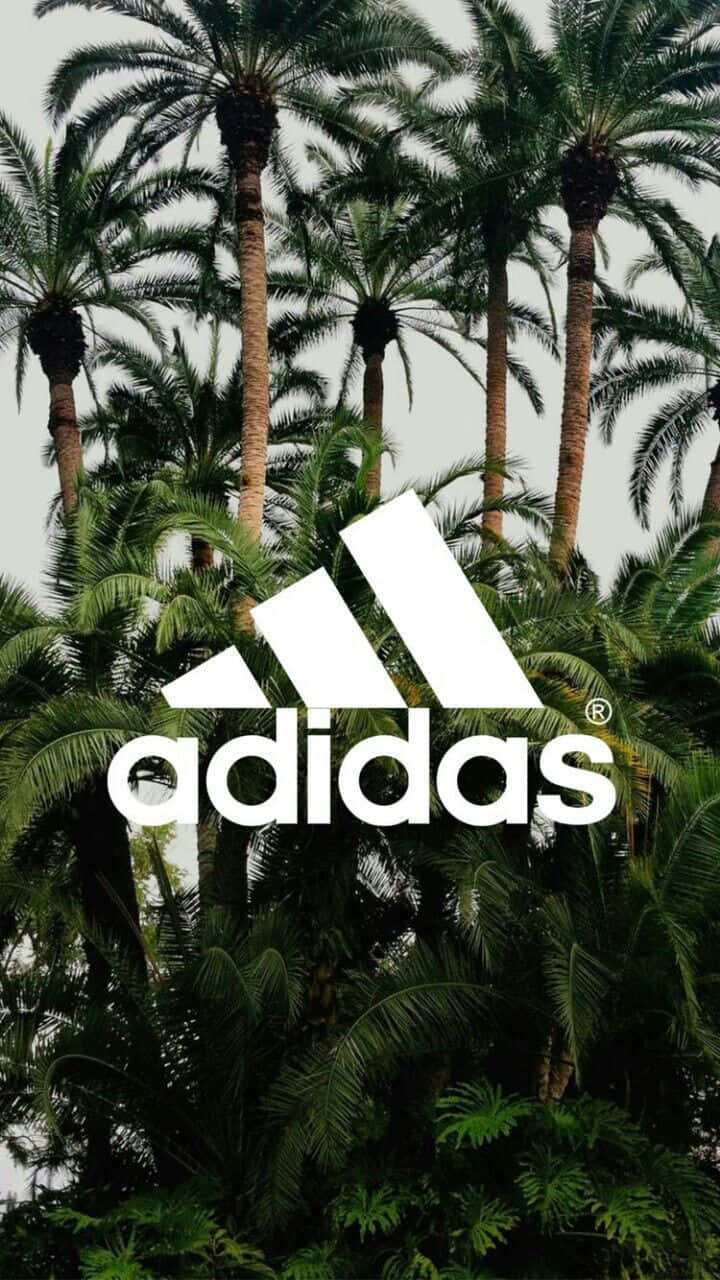 Palm Trees 桌布 壁紙 — 白色Adidas標誌疊加在茂密的綠色棕櫚樹上，背景是柔和天空。
