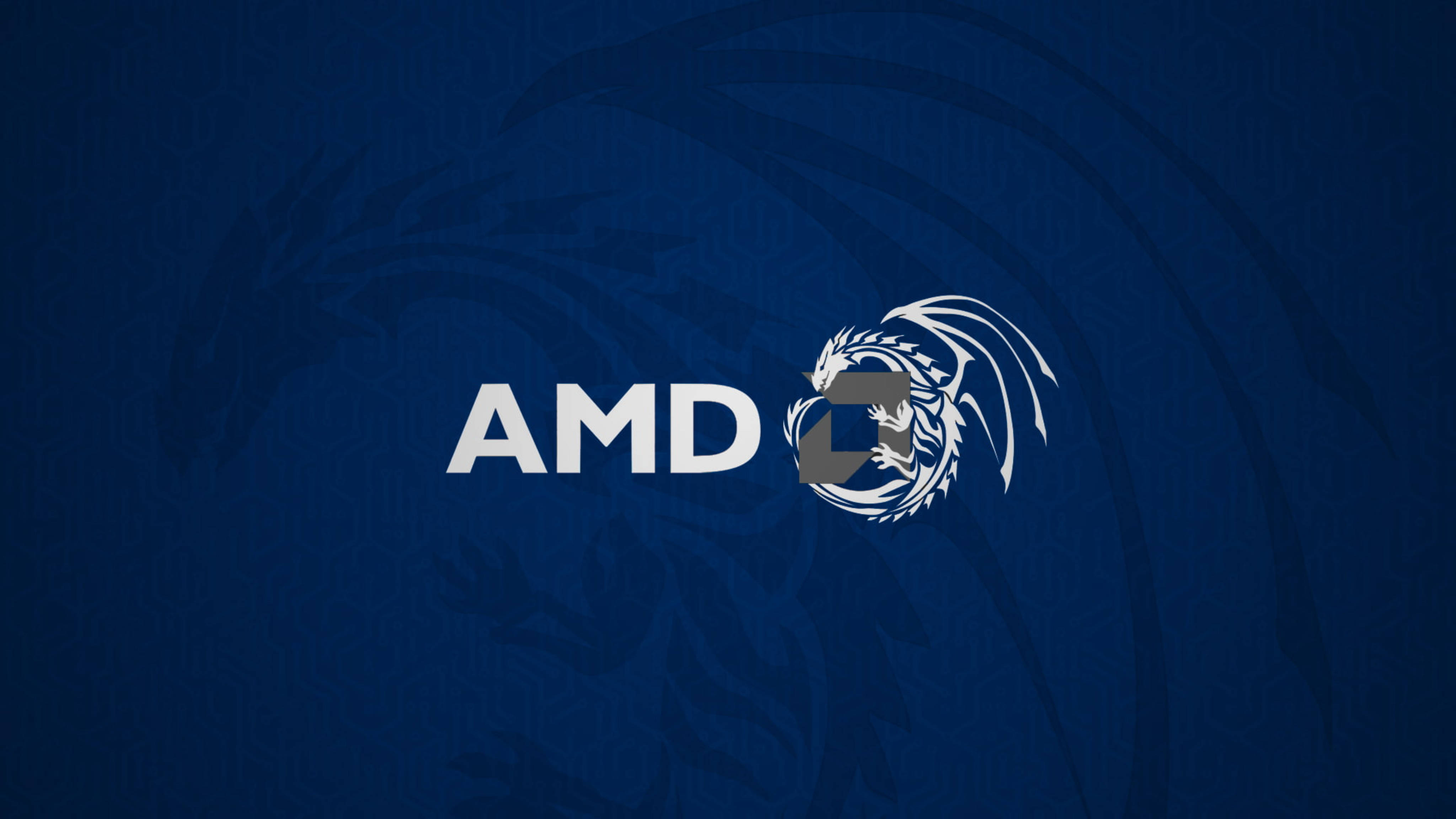 AMD 桌布 壁紙 — 白色AMD標誌搭配龍形徽章，居中於有紋理的深藍色背景上。