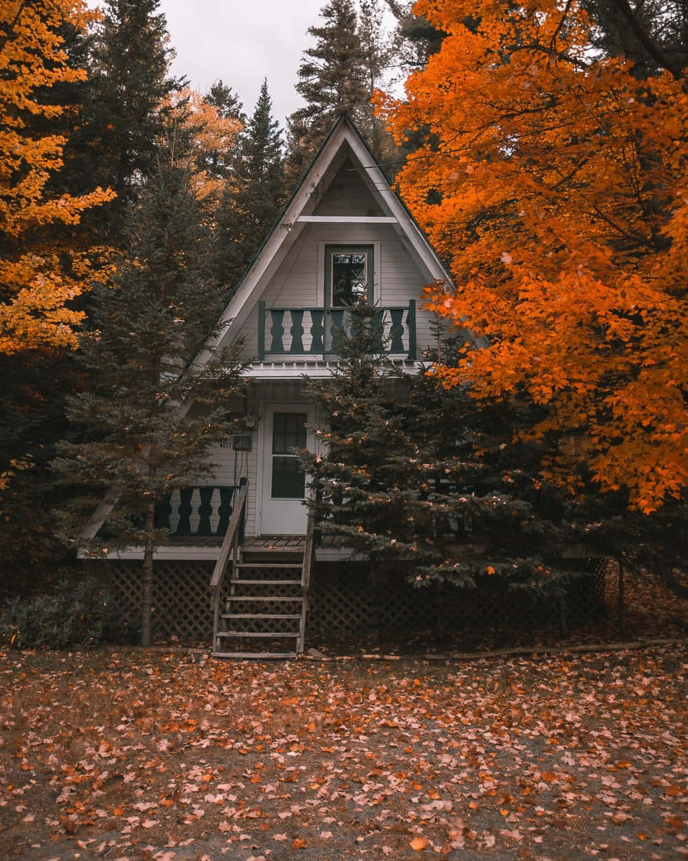 Cozy Winter Cabin 桌布 壁紙 — 白色A字形小屋隱藏在鮮豔的橙色和常綠樹木之間，地上鋪滿落葉。
