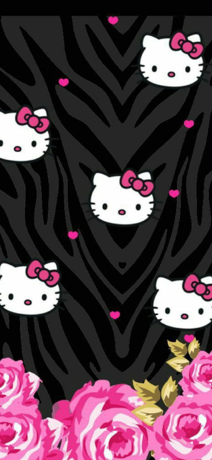 Kitty 桌布 壁紙 — 白色Hello Kitty臉孔搭配粉紅色蝴蝶結，漂浮在粉紅色玫瑰上方，背景為黑色斑馬條紋。