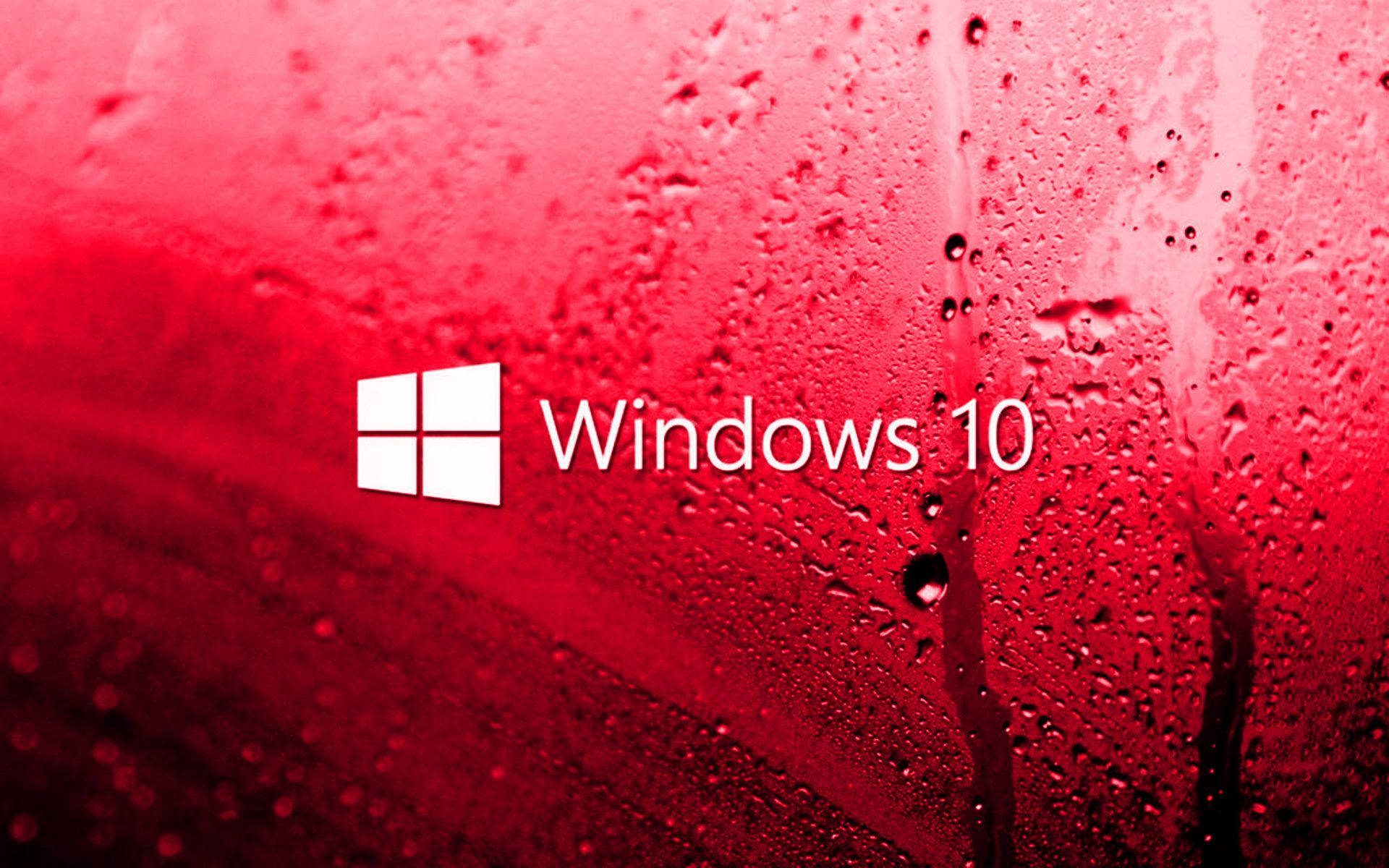 Windows 10 高畫質 桌布 壁紙 — 白色Windows 10標誌在佈滿水滴的鮮紅色表面上格外突出。