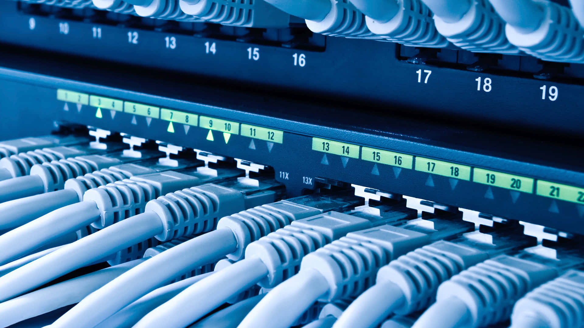 Network 桌布 壁紙 — 白色乙太網路電纜插入藍色網路交換器，帶有發光綠色狀態指示燈的特寫。