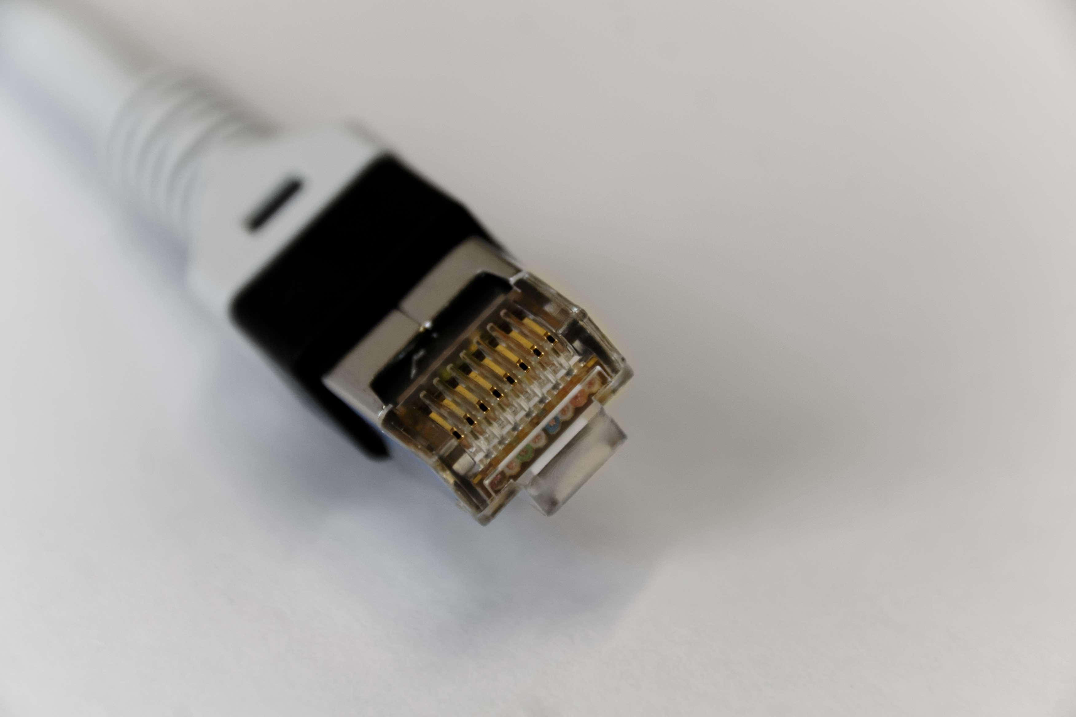 Ethernet 桌布 壁紙 — 白色乙太網路電纜連接器帶金色觸點的特寫，背景為純白色。