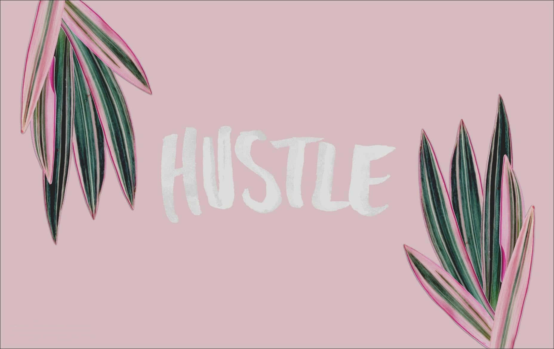 可愛桌面 桌布 壁紙 — 白色刷字體「HUSTLE」置中於柔和粉紅色背景上，並由鮮豔的粉紅和綠色條紋熱帶葉片環繞。