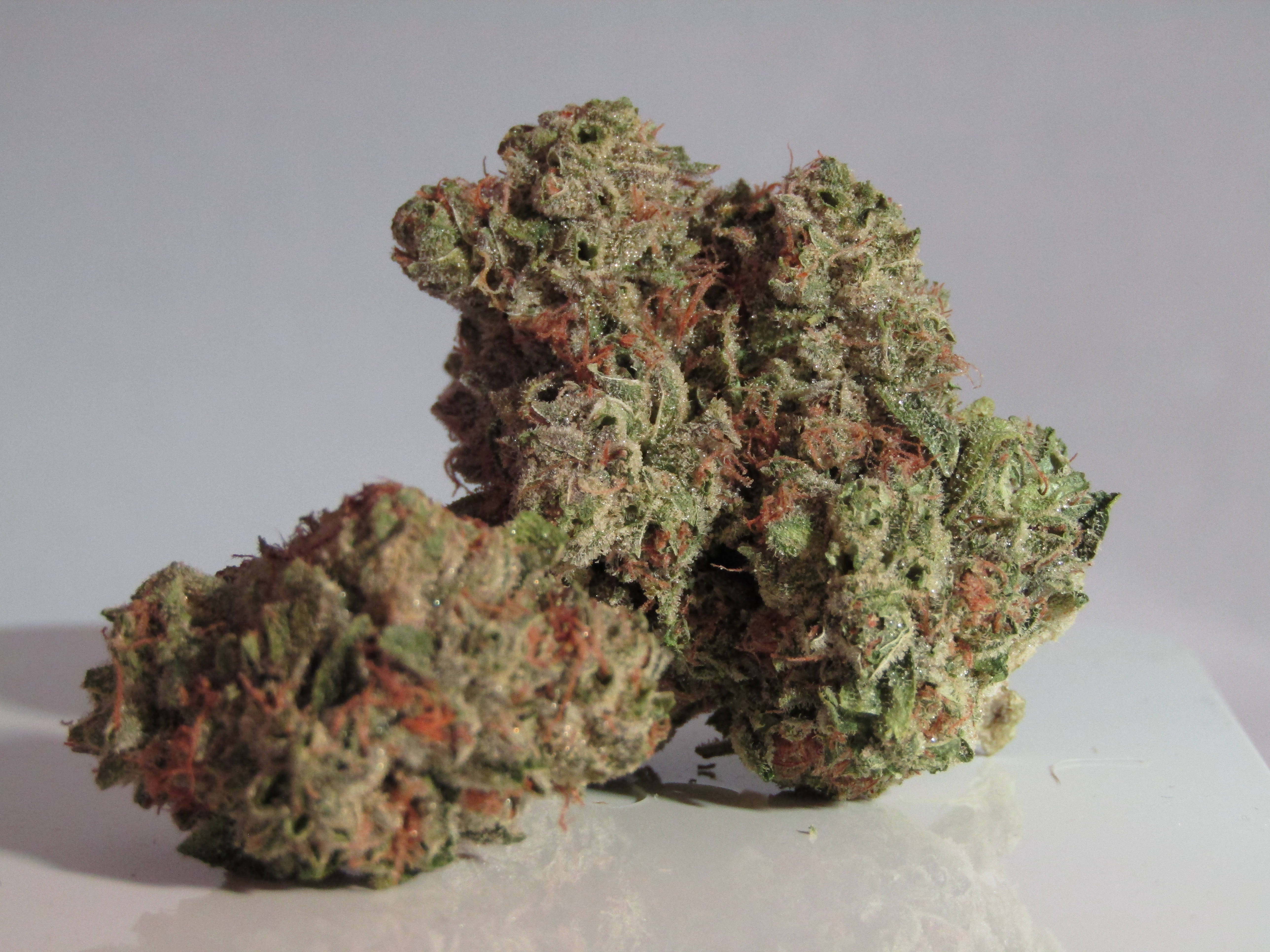 大麻 桌布 壁紙 — 白色反光表面上的兩個密集綠色大麻花蕾，帶有橙色雌蕊和霜狀毛狀體的近距離特寫。