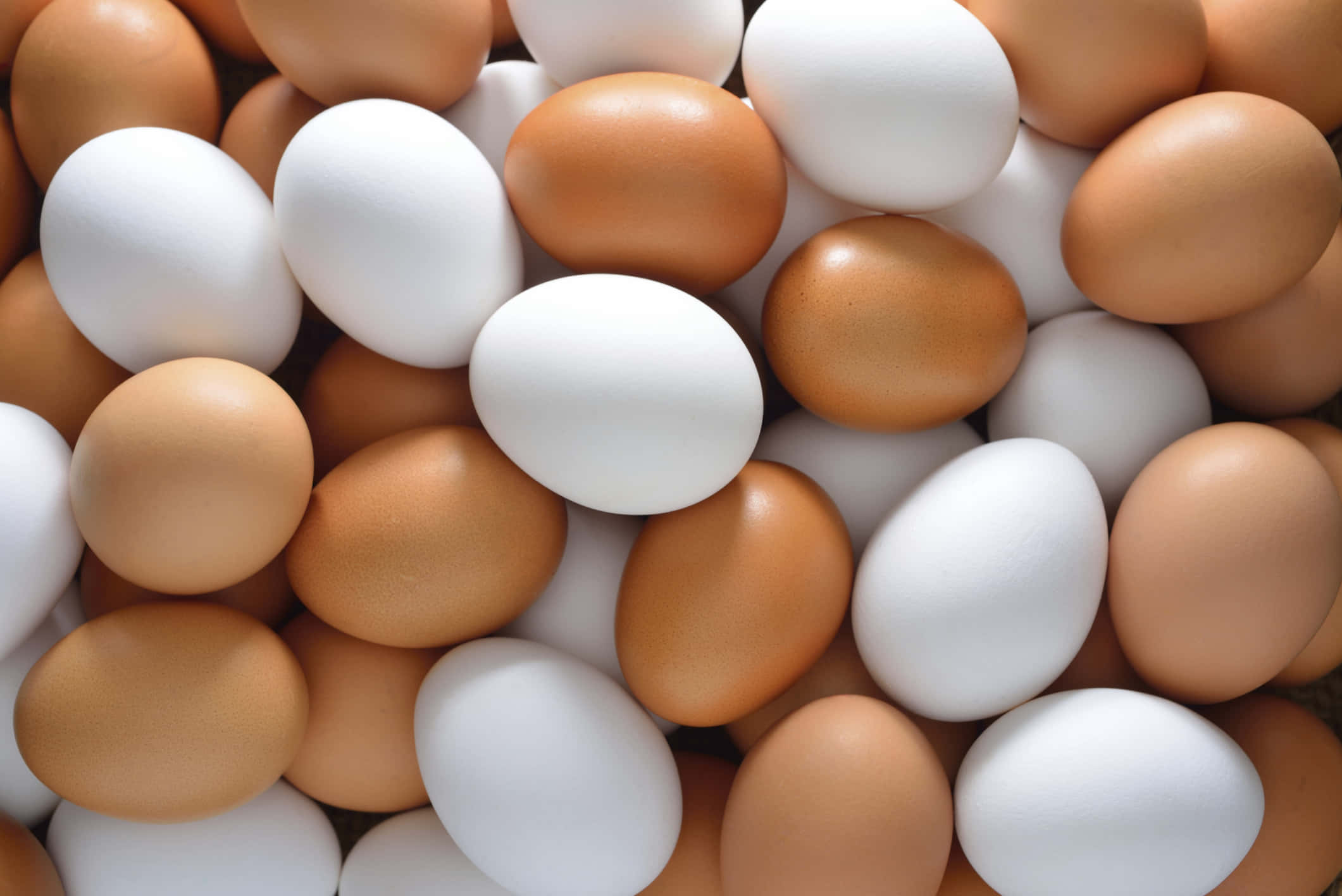 Egg 桌布 壁紙 — 白色和棕色雞蛋堆疊在一起的近距離特寫，展現多種質地和自然色彩對比。