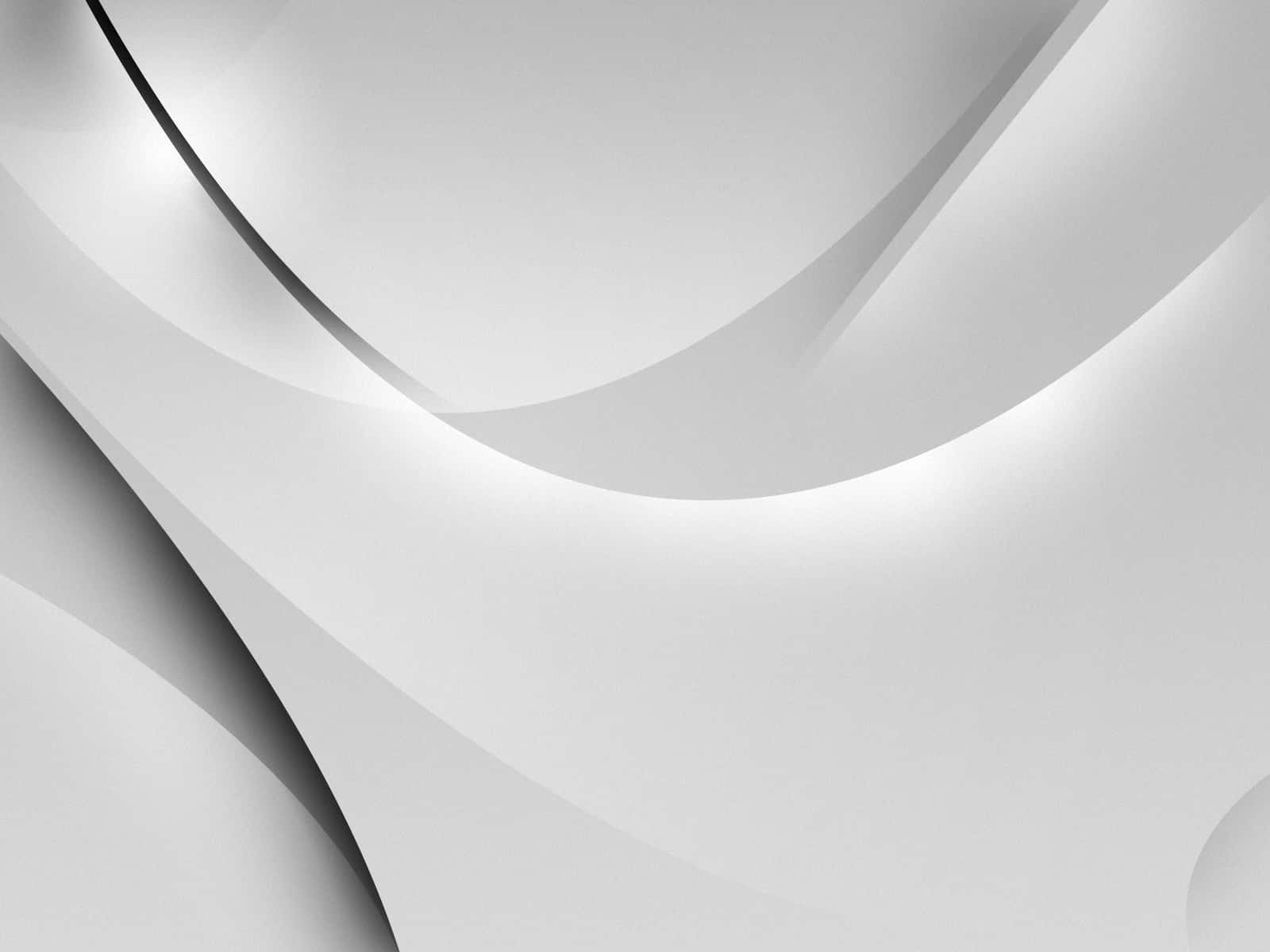Black And White Abstract 桌布 壁紙 — 白色和灰色抽象形態的平滑流動曲線，搭配柔和陰影，營造出極簡現代美學。