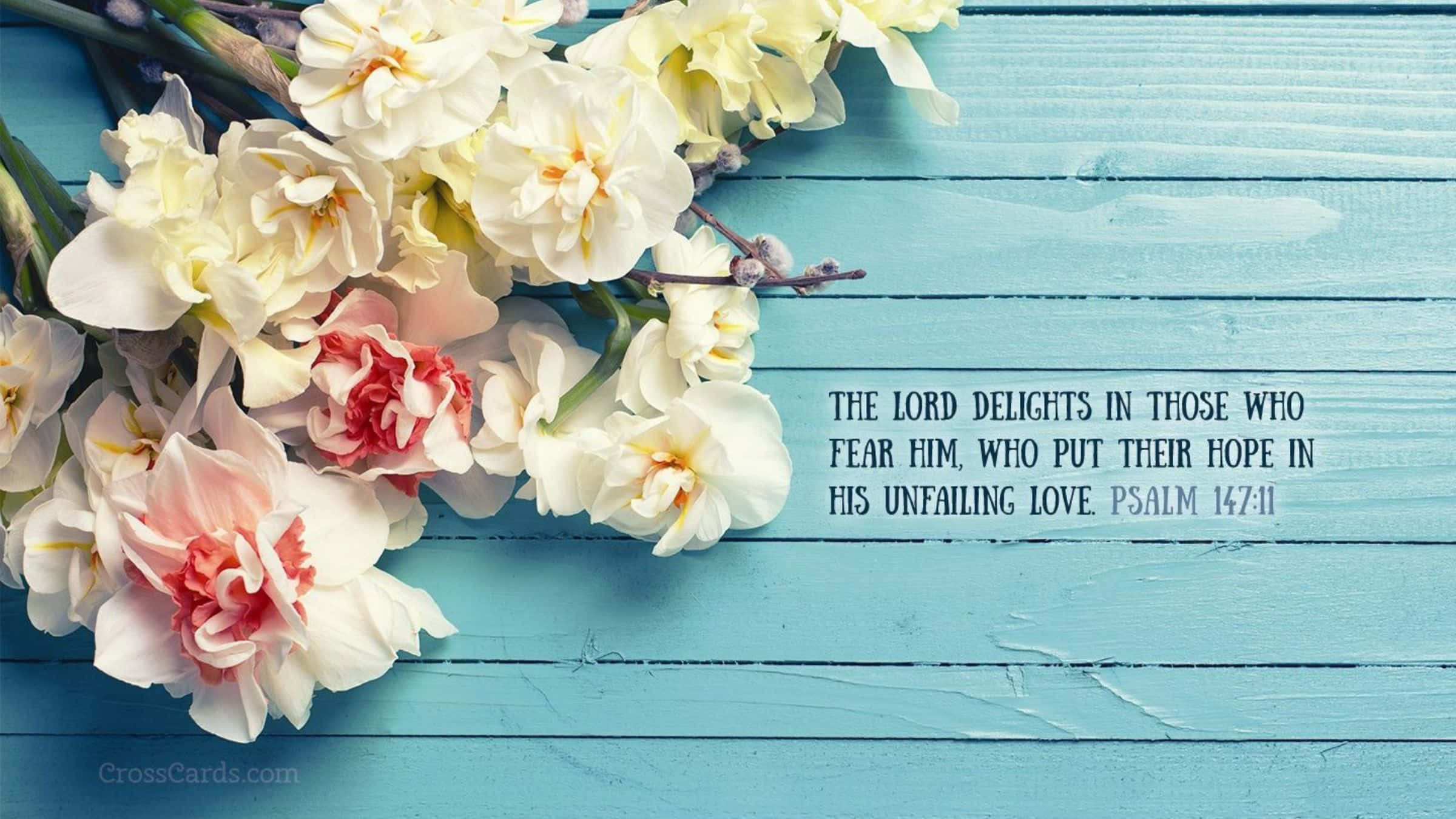 Bible Verse Desktop 桌布 壁紙 — 白色和粉紅色的花朵放在風化的藍色木質表面上，旁邊是關於敬畏上帝和盼望祂愛情的聖經經文。