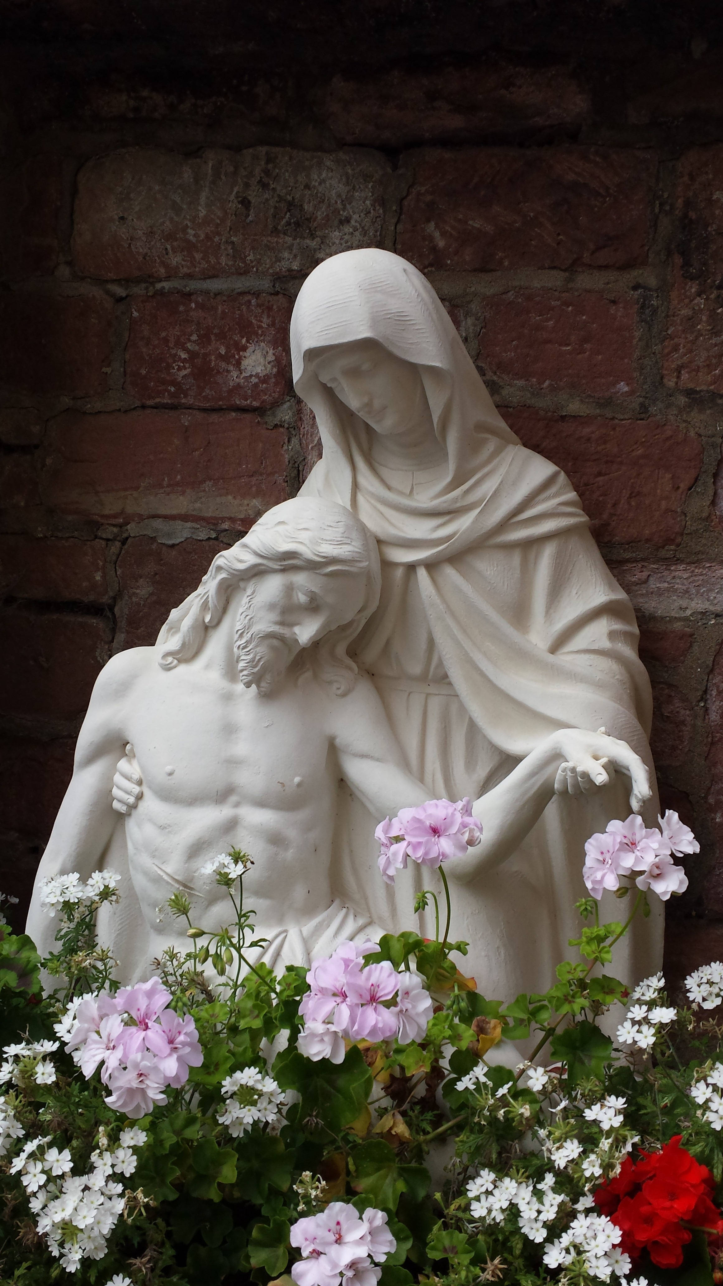 Christ 桌布 壁紙 — 白色大理石聖殤像（耶穌與瑪利亞）被粉紅色、白色和紅色花朵環繞，背景是磚牆。