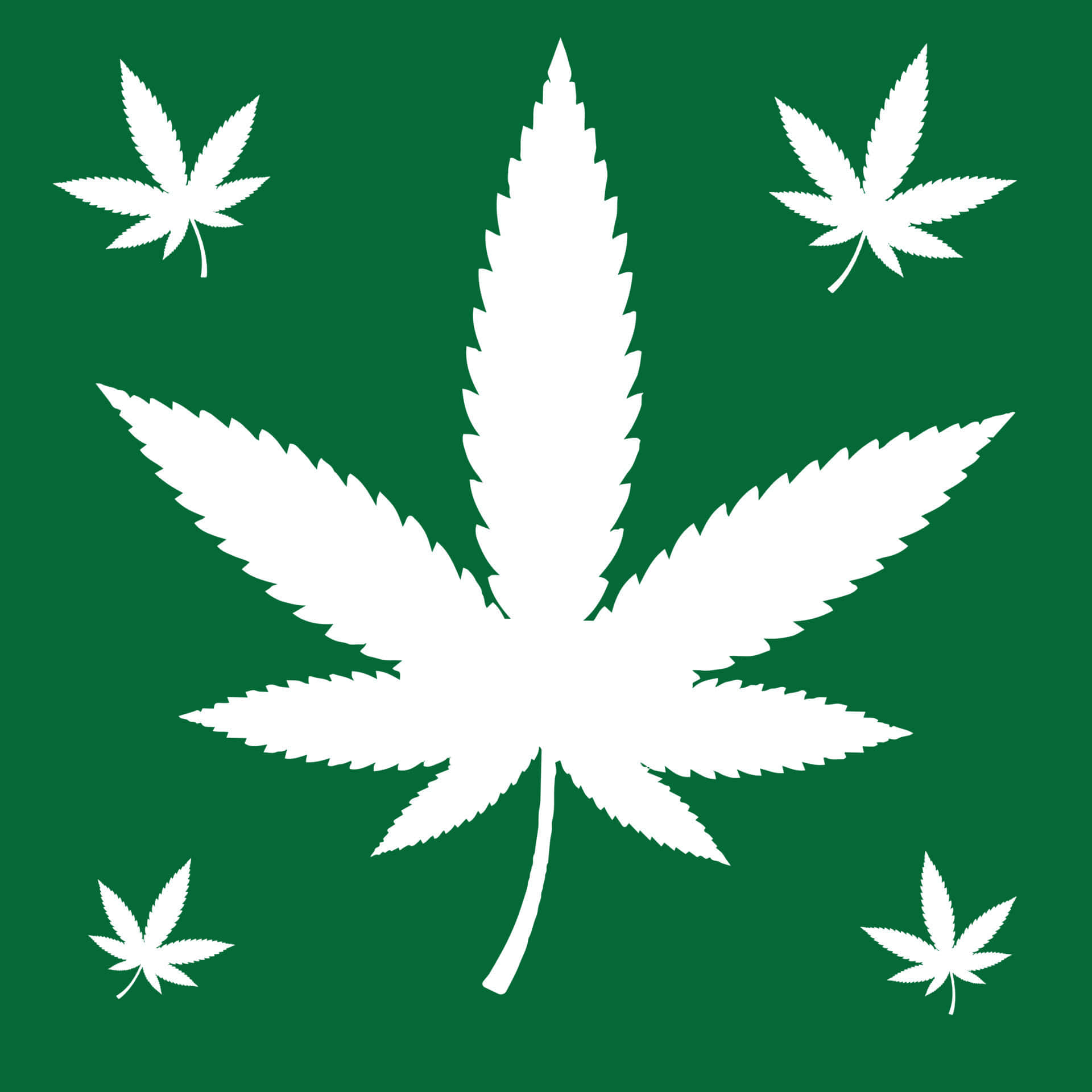 大麻 桌布 壁紙 — 白色大麻葉剪影在純綠色背景上漂浮，呈現極簡圖形設計。