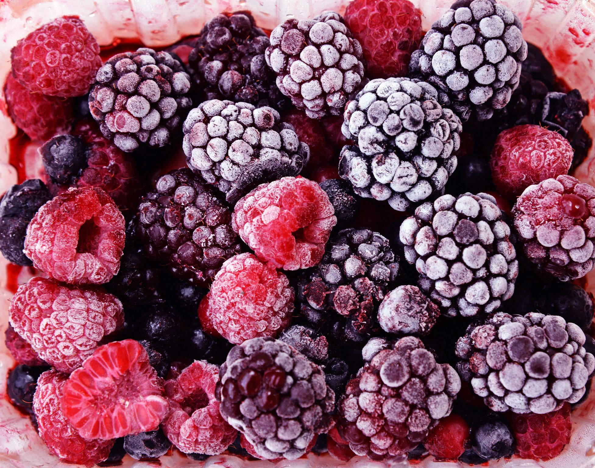 Berry 桌布 壁紙 — 白色容器中鮮紅色覆盆子和深色黑莓撒上霜的近距離特寫。