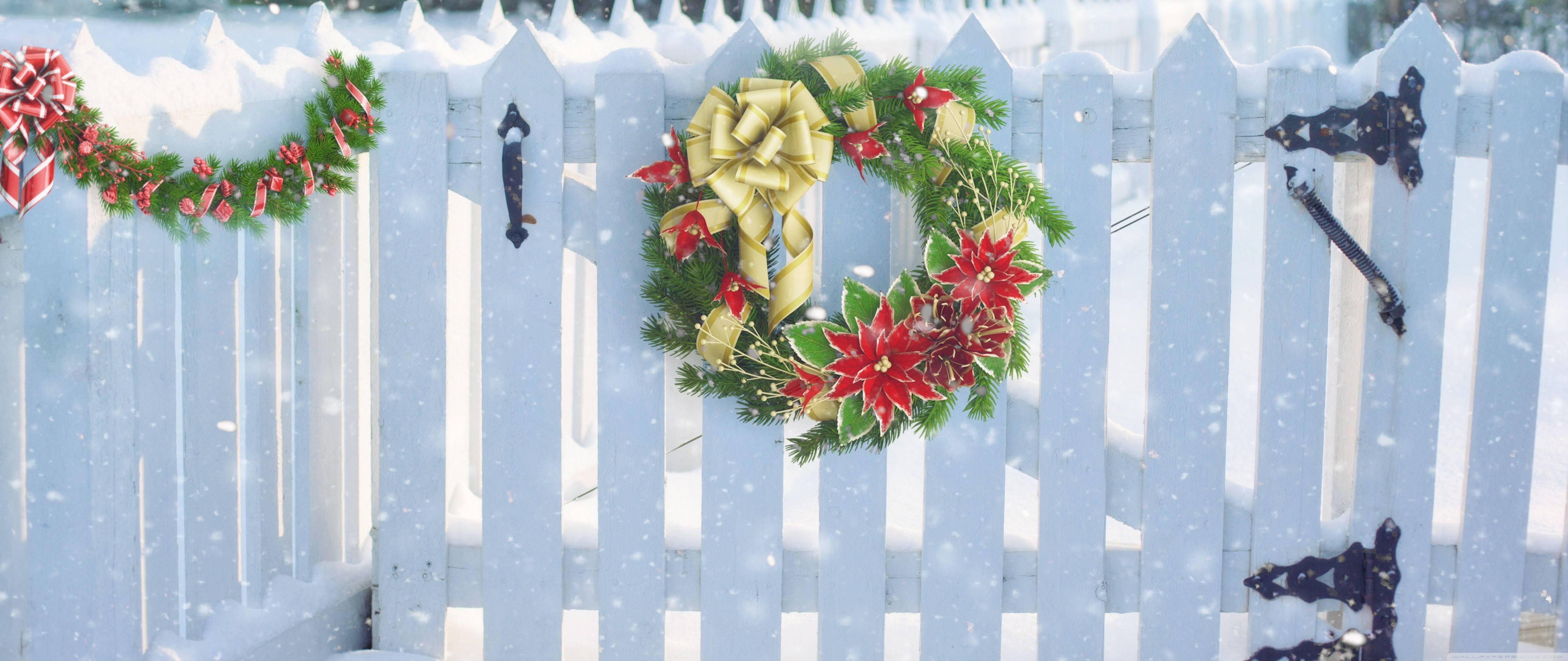 Wreath 桌布 壁紙 — 白色尖樁籬笆在飄雪中飾以節慶紅聖誕紅和金色彩帶蝴蝶結。