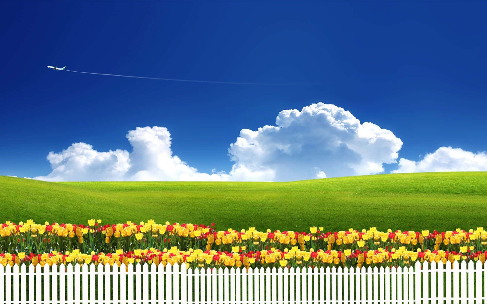 Spring Sky 桌布 壁紙 — 白色尖樁籬笆後方，黃色和紅色鬱金香組成的鮮豔花田，上方是明亮的藍天，有蓬鬆的雲朵和遠處的飛機。