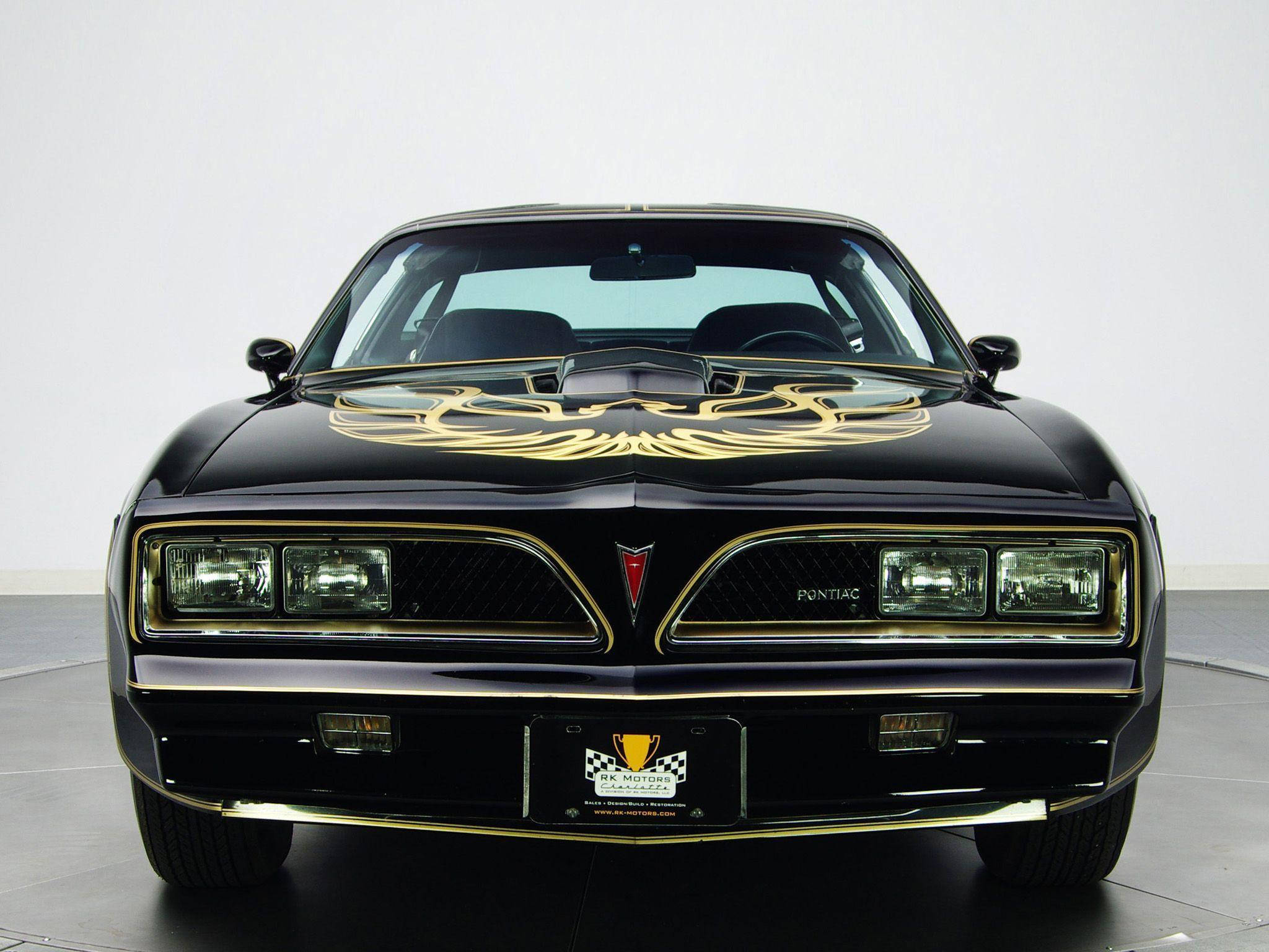 Pontiac 桌布 壁紙 — 白色攝影棚背景前，一輛亮黑色Pontiac Firebird的正面視圖，帶有金色鳳凰貼紙和飾條。