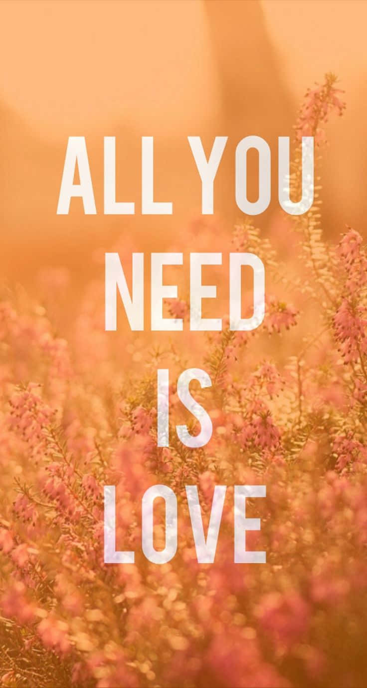 愛情語錄 桌布 壁紙 — 白色文字寫著「ALL YOU NEED IS LOVE」，疊加在一片柔焦的粉紅色花朵上，花朵沐浴在溫暖的金色光芒中。