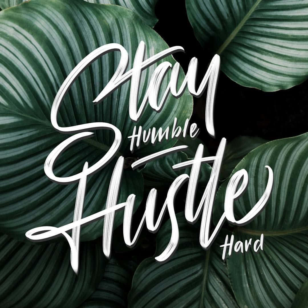激勵 桌布 壁紙 — 白色書法字體 'Stay Humble Hustle Hard' 覆蓋在茂密深綠色熱帶葉片上，背景為黑色。
