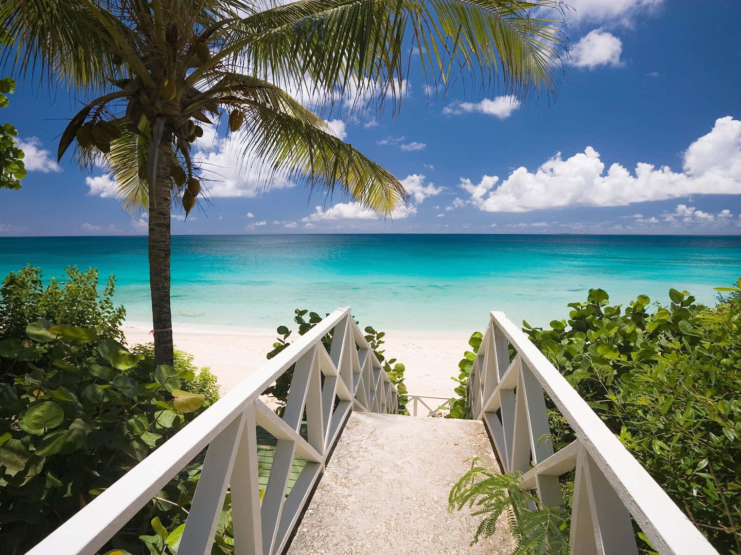 Beautiful Beach 桌布 壁紙 — 白色木樓梯通往一個原始白色沙灘，四周環繞著茂密的綠植和高聳的棕櫚樹，上方是明亮的藍天和蓬鬆的白雲。