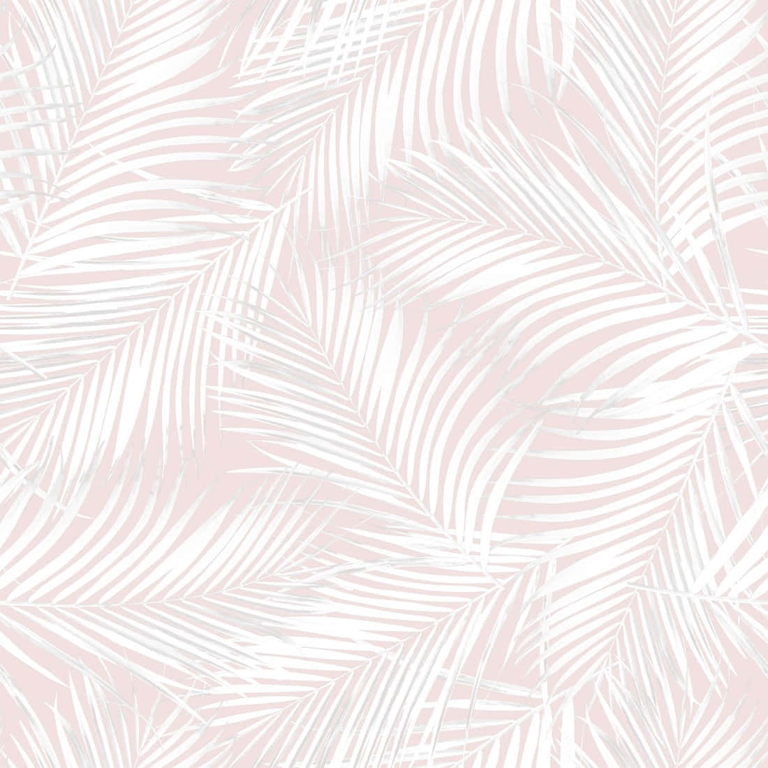 Tropical Leaves 桌布 壁紙 — 白色棕櫚葉在柔和的粉紅色背景上重疊，形成重複的熱帶圖案。