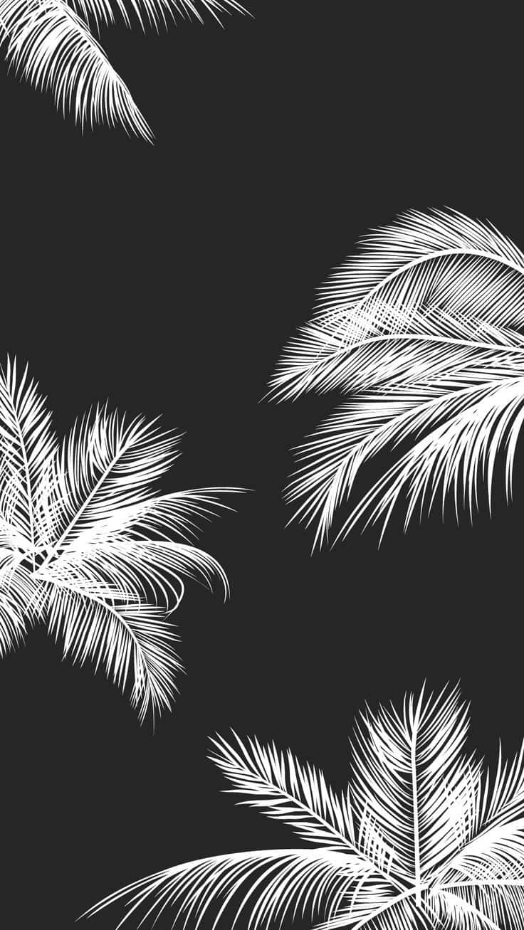 Design 桌布 壁紙 — 白色棕櫚葉在純黑色背景上優雅地漂浮，形成極簡熱帶圖案。