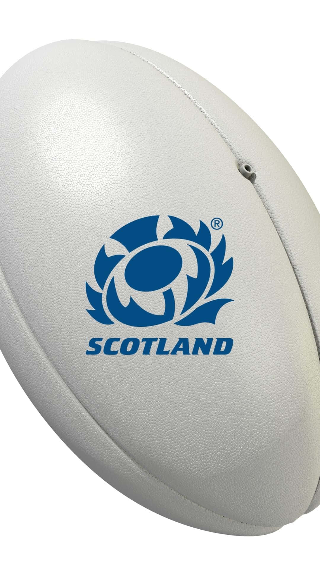 Scotland Rugby 桌布 壁紙 — 白色橄欖球近距離特寫，帶有藍色蘇格蘭薊花標誌，背景為純白色。