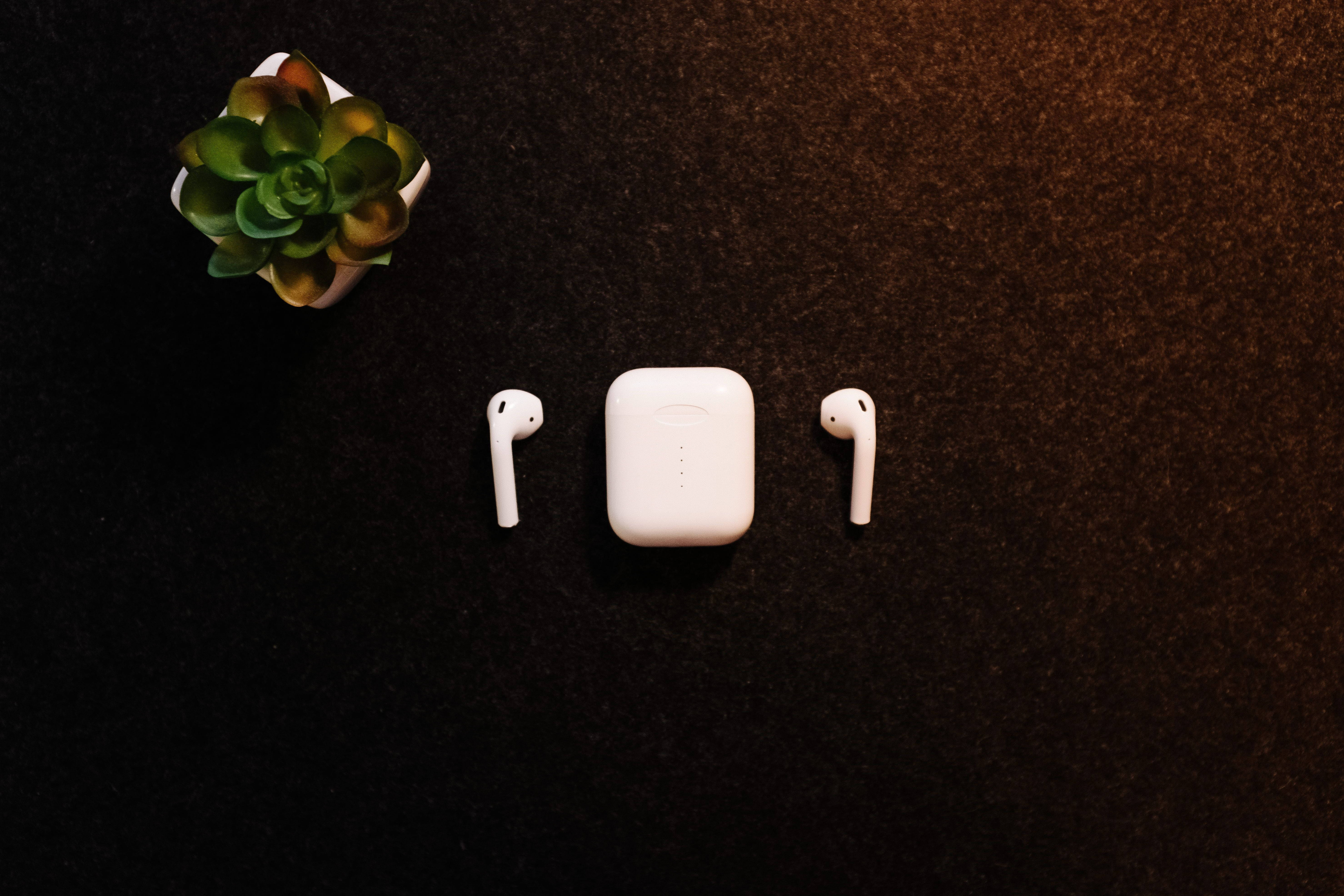 AirPods 桌布 壁紙 — 白色無線耳機及充電盒放在深色紋理表面上，旁邊有一小盆多肉植物。