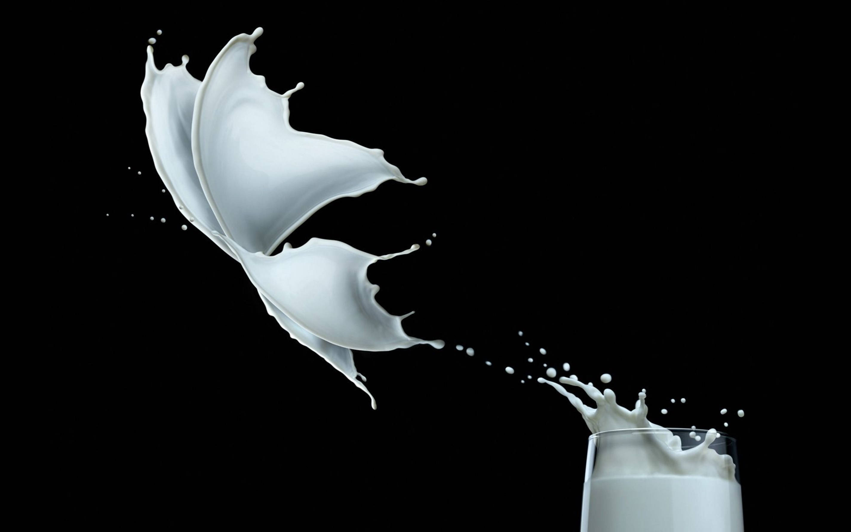 Milk 桌布 壁紙 — 白色牛奶從玻璃杯中動態噴濺，在純黑背景上凝固了流體運動的瞬間。