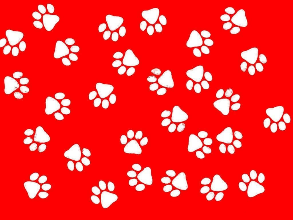paws 桌布 壁紙 — 白色狗腳印散落在鮮紅色背景上，形成俏皮的重複圖案。
