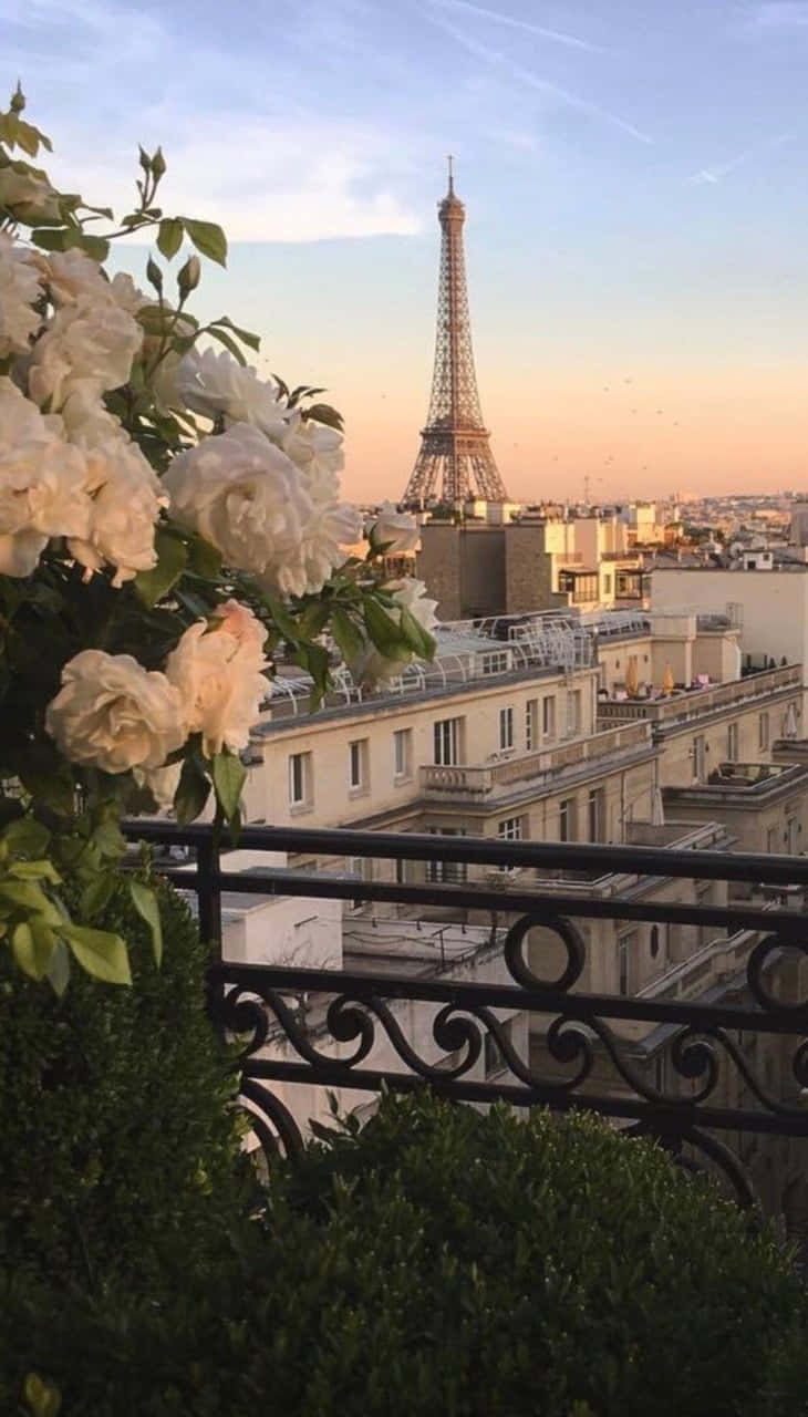 Paris Aesthetic 桌布 壁紙 — 白色玫瑰在前景盛開，艾菲爾鐵塔在金色日落時分聳立於巴黎屋頂之上。