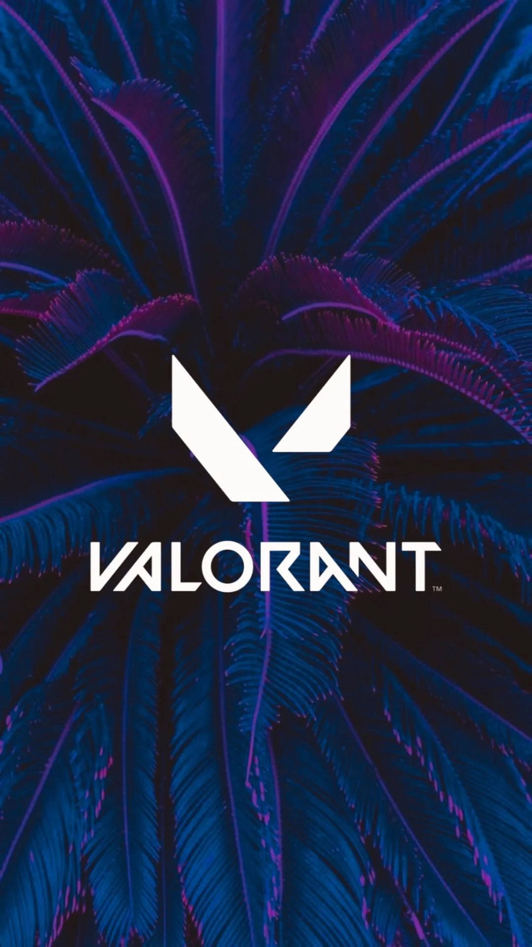 Valorant iPhone 壁紙 桌布 壁紙 — 白色的 Valorant 標誌在充滿活力的藍色和紫色羽毛背景上脫穎而出。