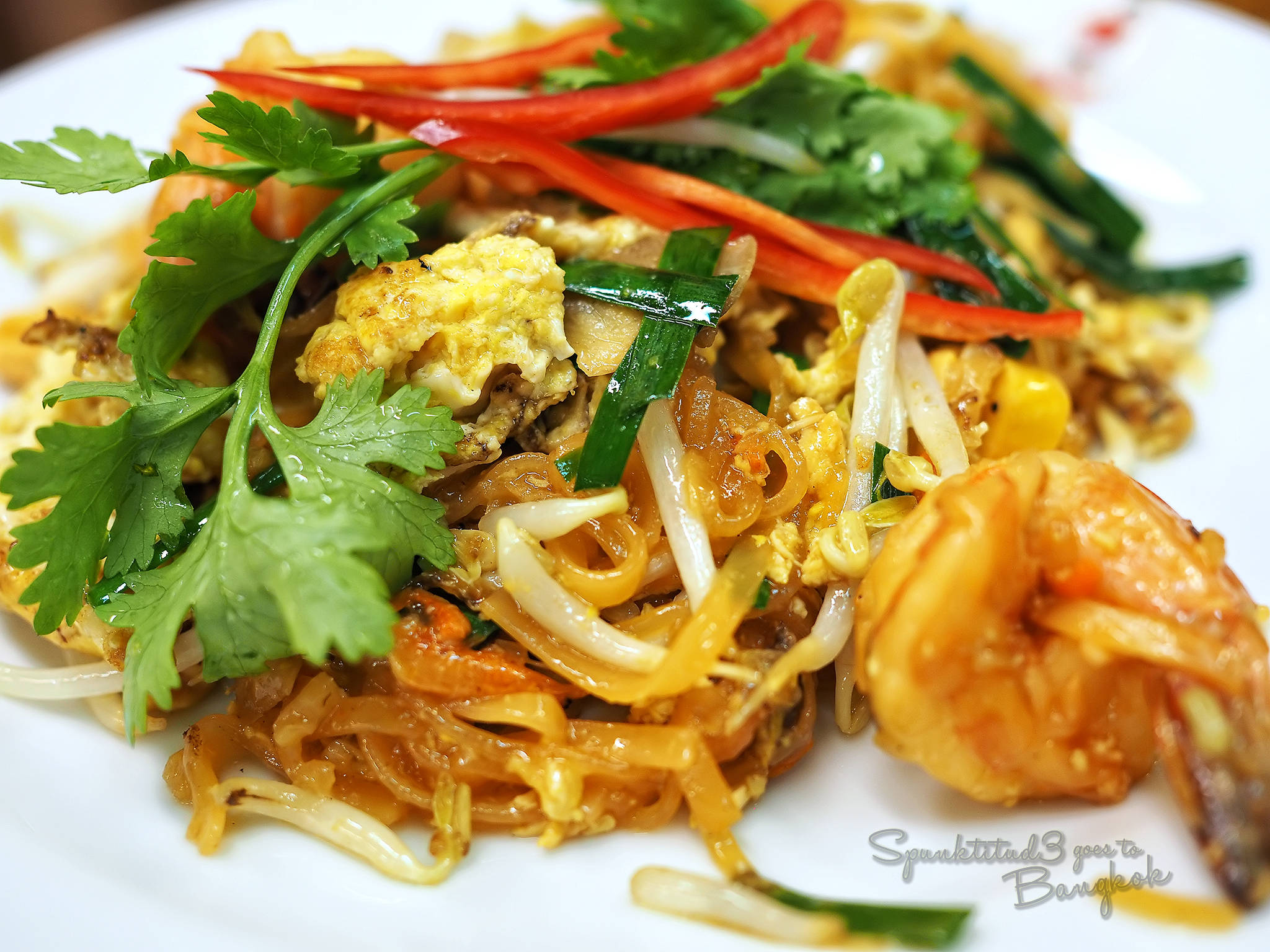 pepper 桌布 壁紙 — 白色盤子上鮮豔的泰式Pad Thai，搭配蝦仁、豆芽和香菜的特寫。