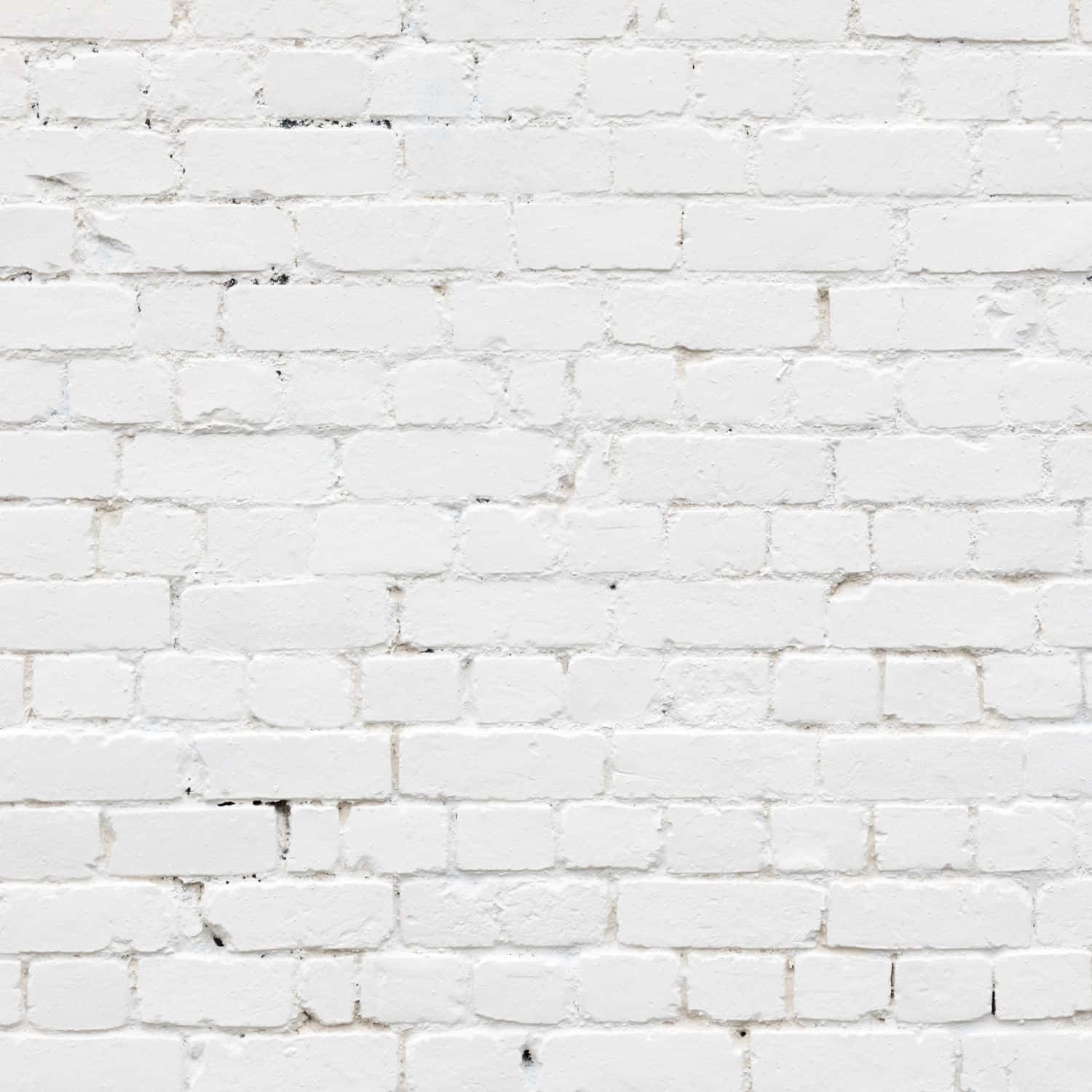 wall 桌布 壁紙 — 白色磚牆的特寫，顯示出有紋理的砂漿線條和細微瑕疵。